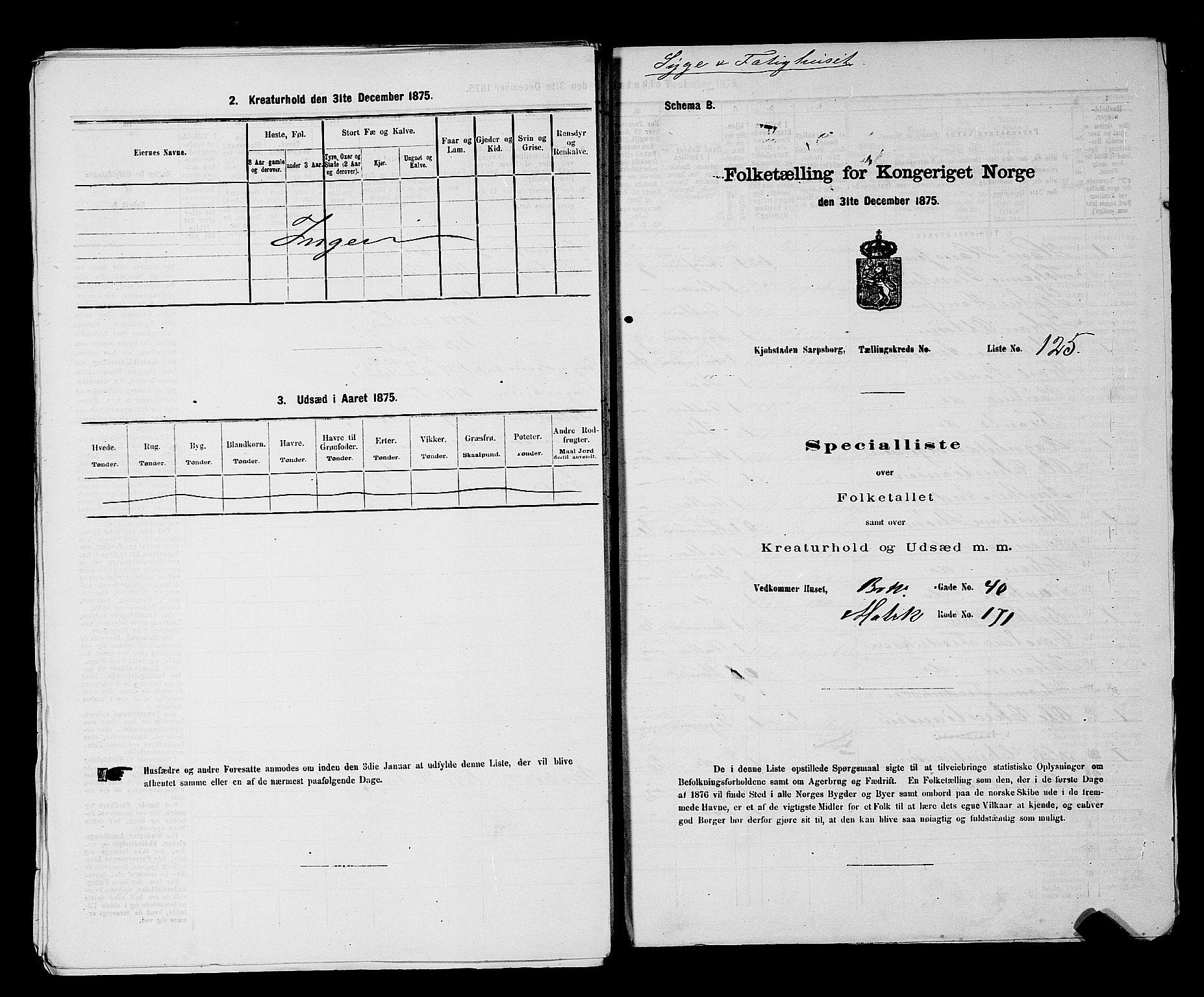 RA, 1875 census for 0102P Sarpsborg, 1875, p. 289