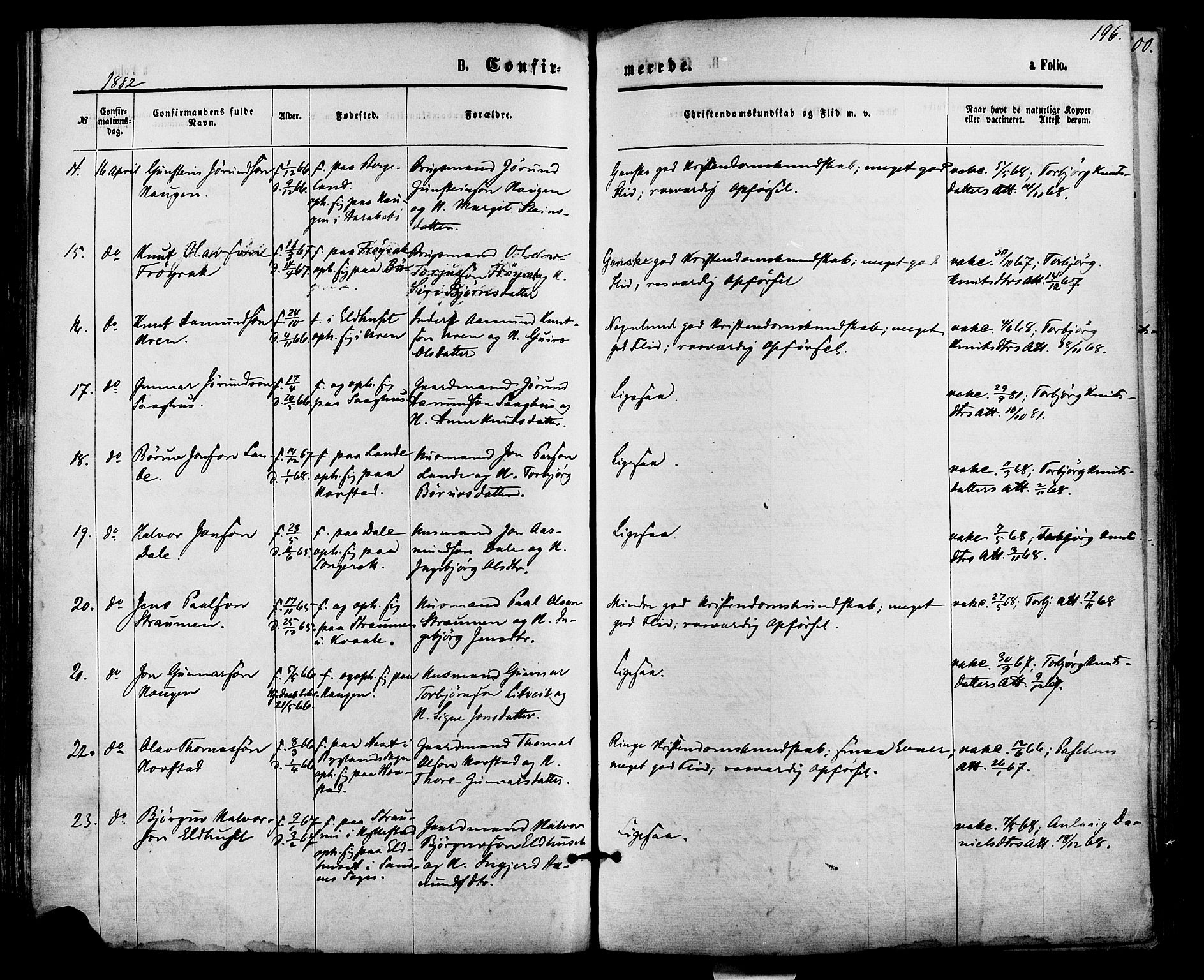 Bygland sokneprestkontor, AV/SAK-1111-0006/F/Fa/Fab/L0006: Parish register (official) no. A 6, 1873-1884, p. 196