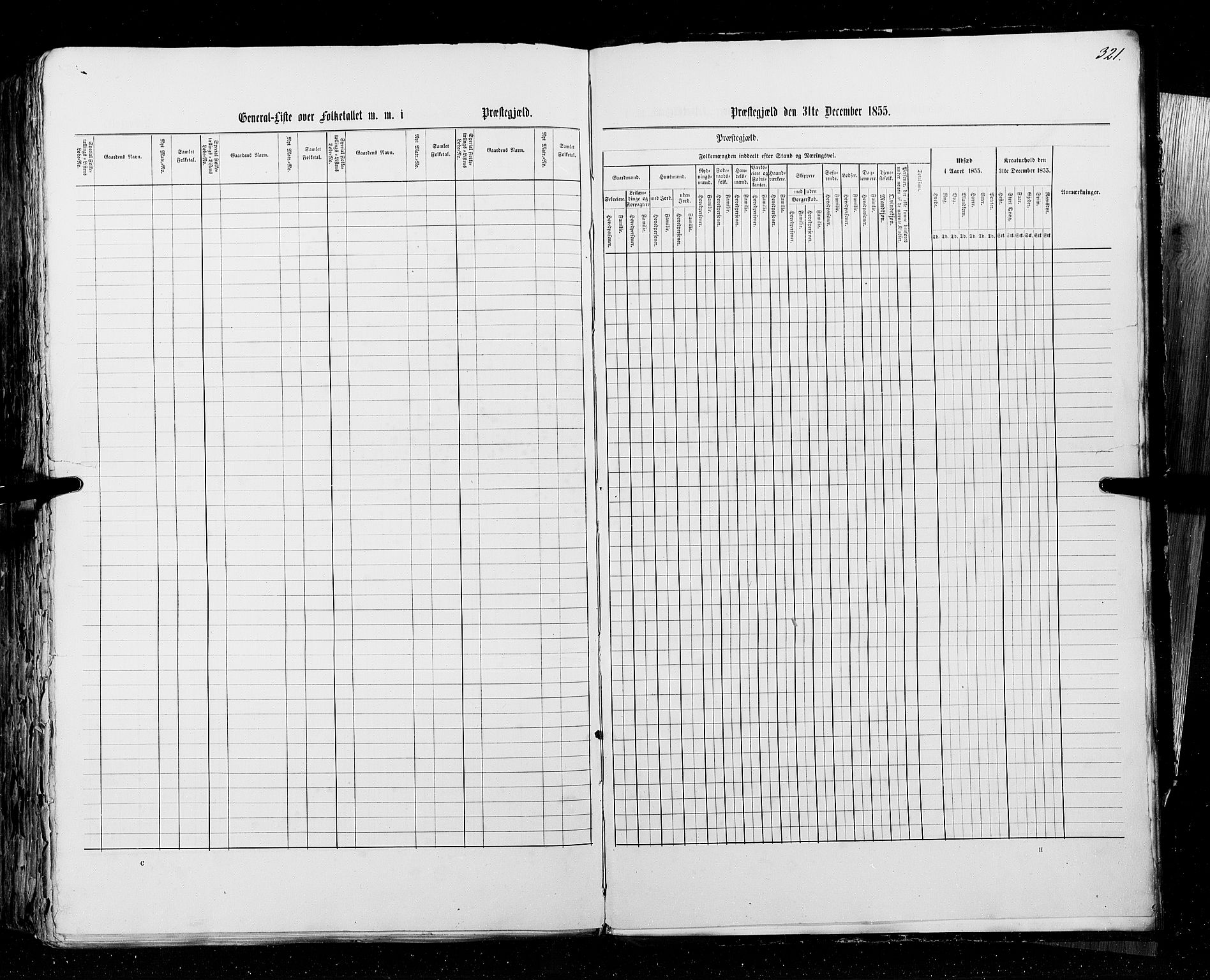 RA, Census 1855, vol. 3: Bratsberg amt, Nedenes amt og Lister og Mandal amt, 1855, p. 321