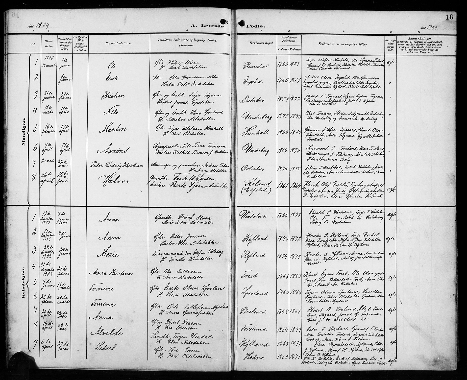 Åseral sokneprestkontor, SAK/1111-0051/F/Fb/L0003: Parish register (copy) no. B 3, 1900-1919, p. 16