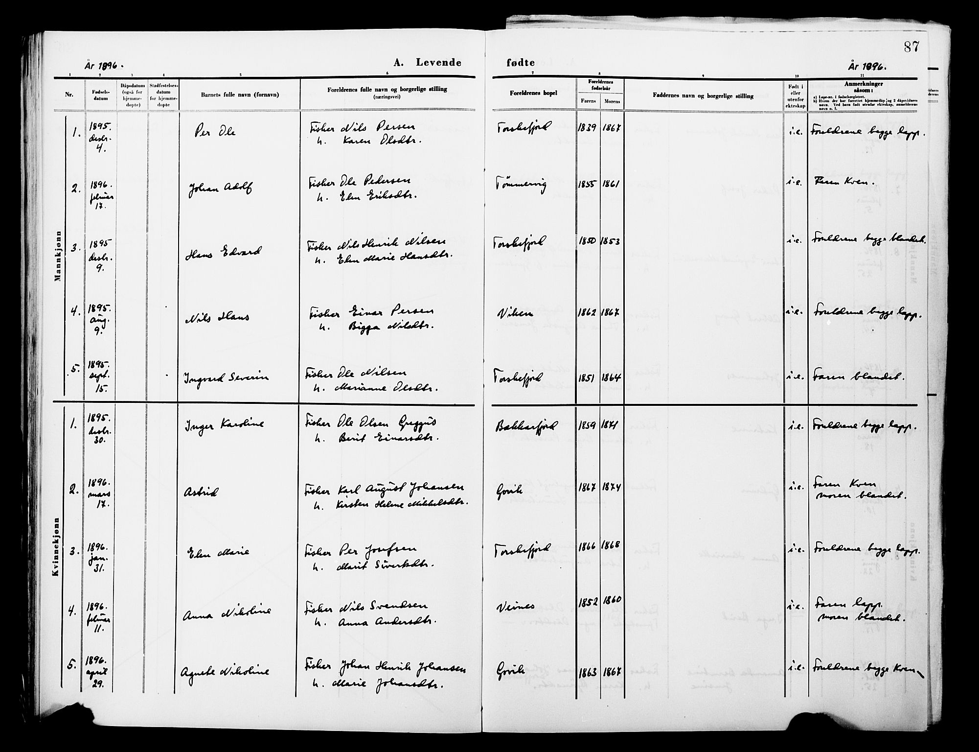 Lebesby sokneprestkontor, AV/SATØ-S-1353/H/Ha/L0004kirke: Parish register (official) no. 4, 1870-1902, p. 87