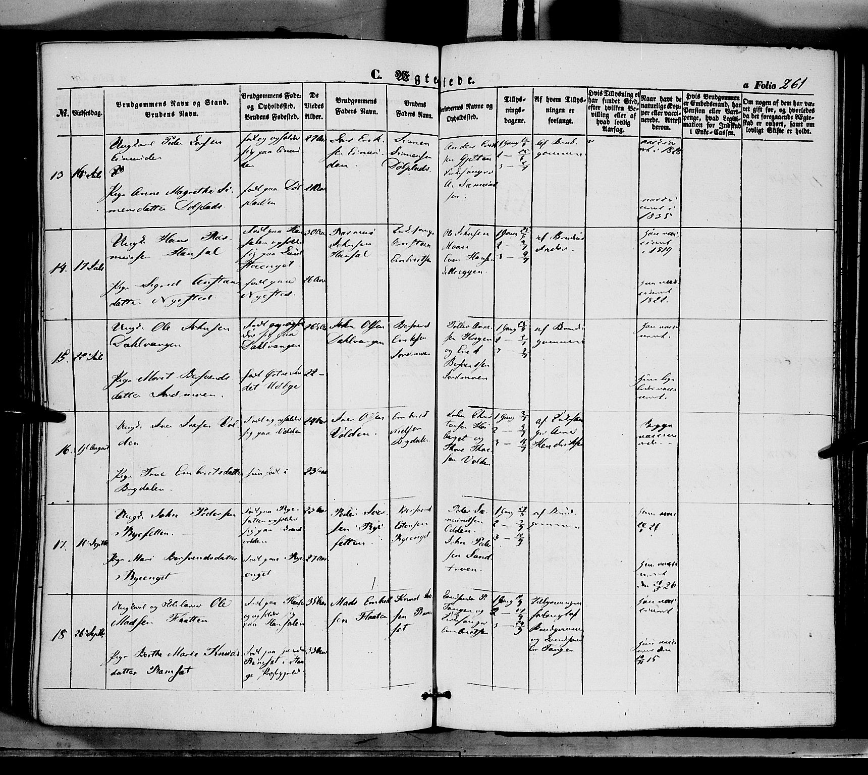 Tynset prestekontor, AV/SAH-PREST-058/H/Ha/Haa/L0020: Parish register (official) no. 20, 1848-1862, p. 261