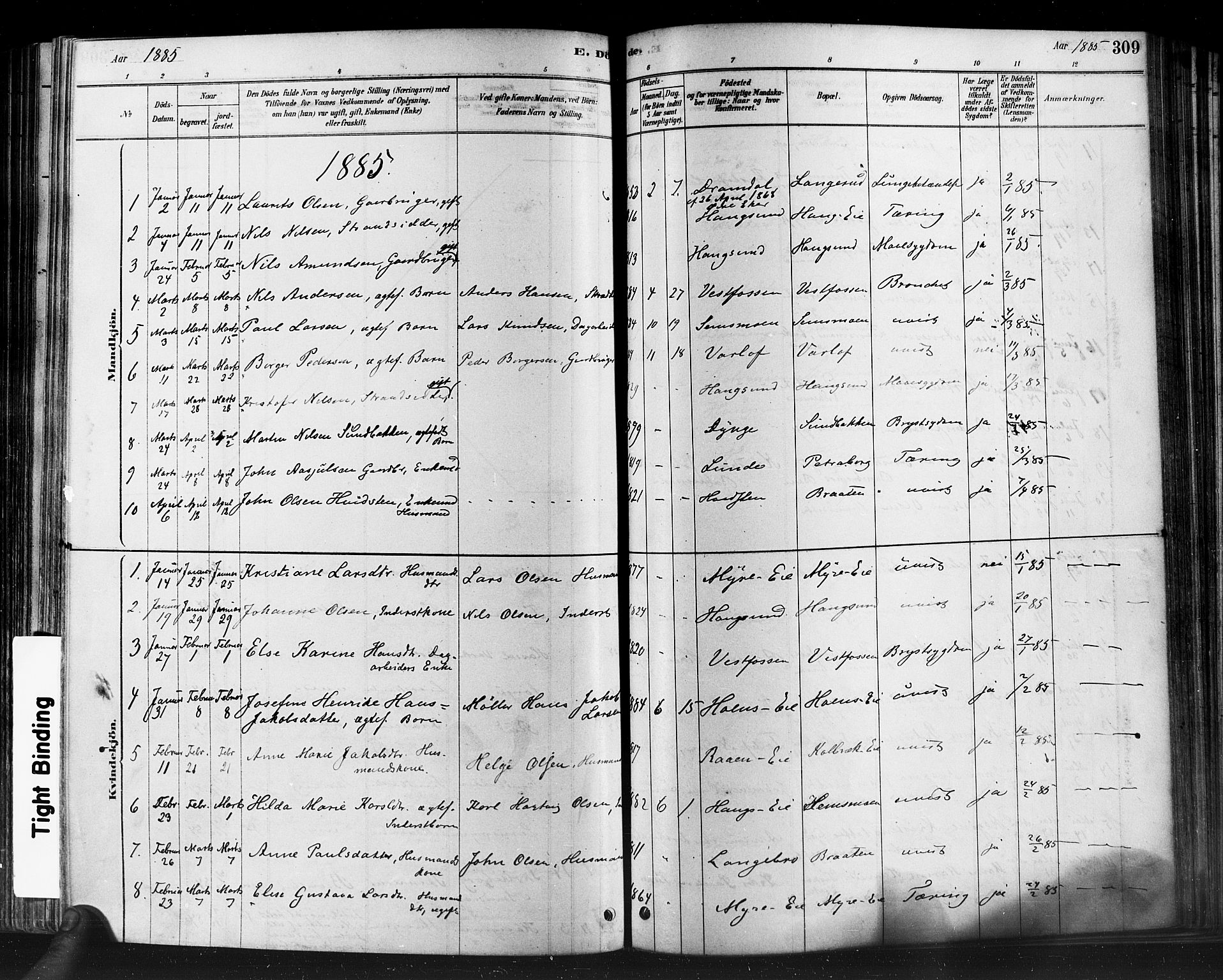 Eiker kirkebøker, SAKO/A-4/F/Fb/L0001: Parish register (official) no. II 1, 1878-1888, p. 309