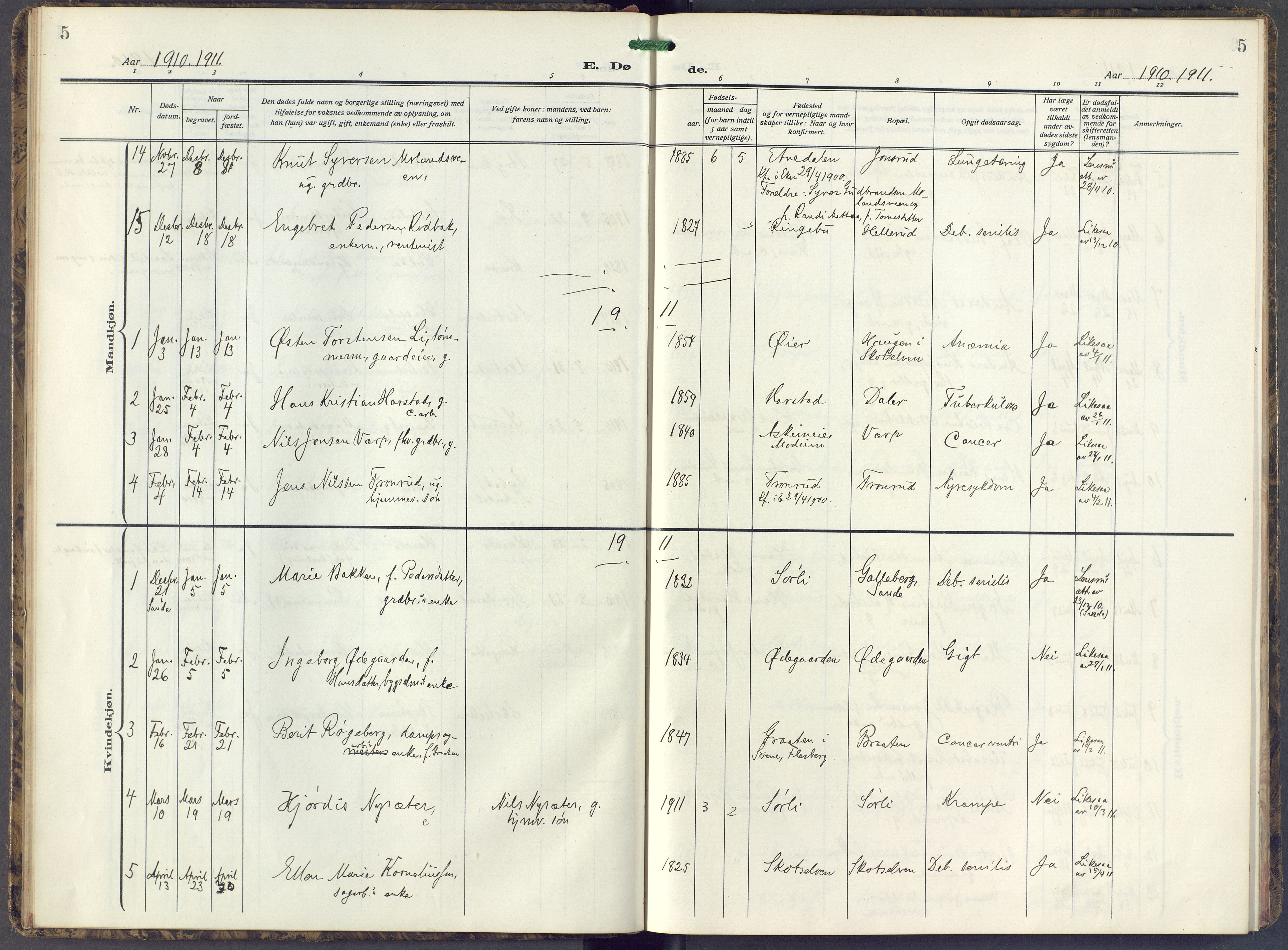 Eiker kirkebøker, AV/SAKO-A-4/F/Fc/L0005: Parish register (official) no. III 5, 1909-1916, p. 5