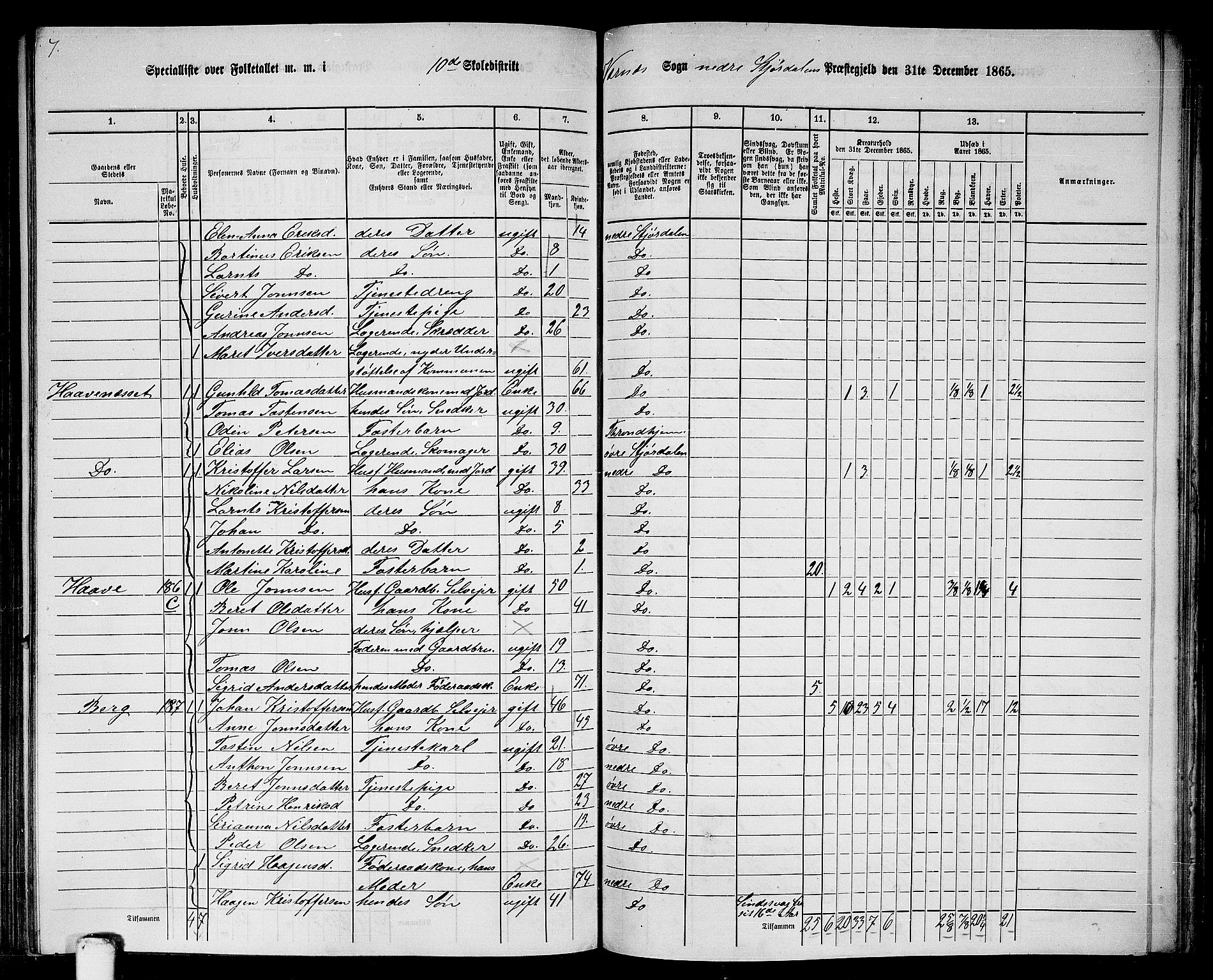 RA, 1865 census for Nedre Stjørdal, 1865, p. 213