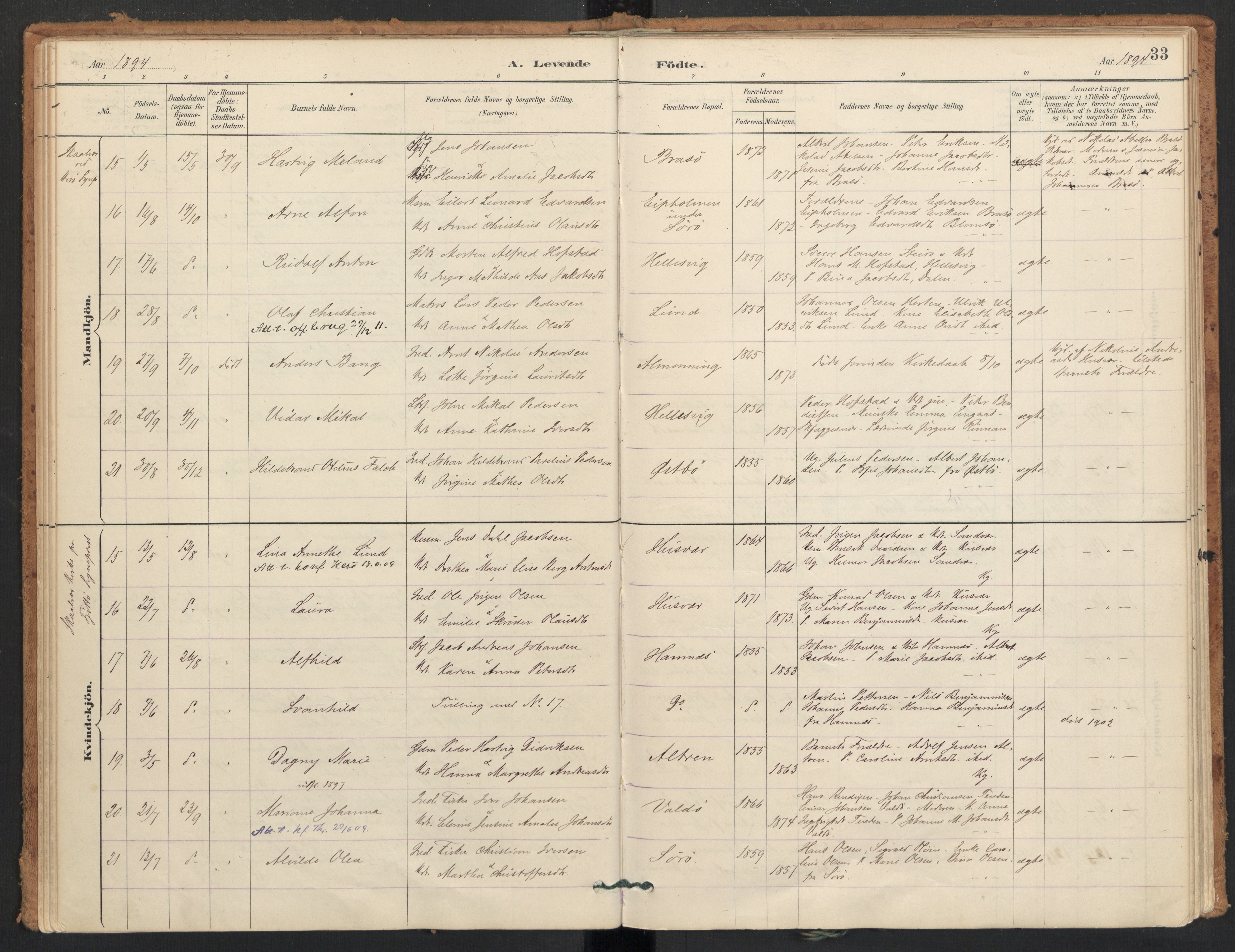 Ministerialprotokoller, klokkerbøker og fødselsregistre - Nordland, SAT/A-1459/830/L0453: Parish register (official) no. 830A17, 1886-1911, p. 33