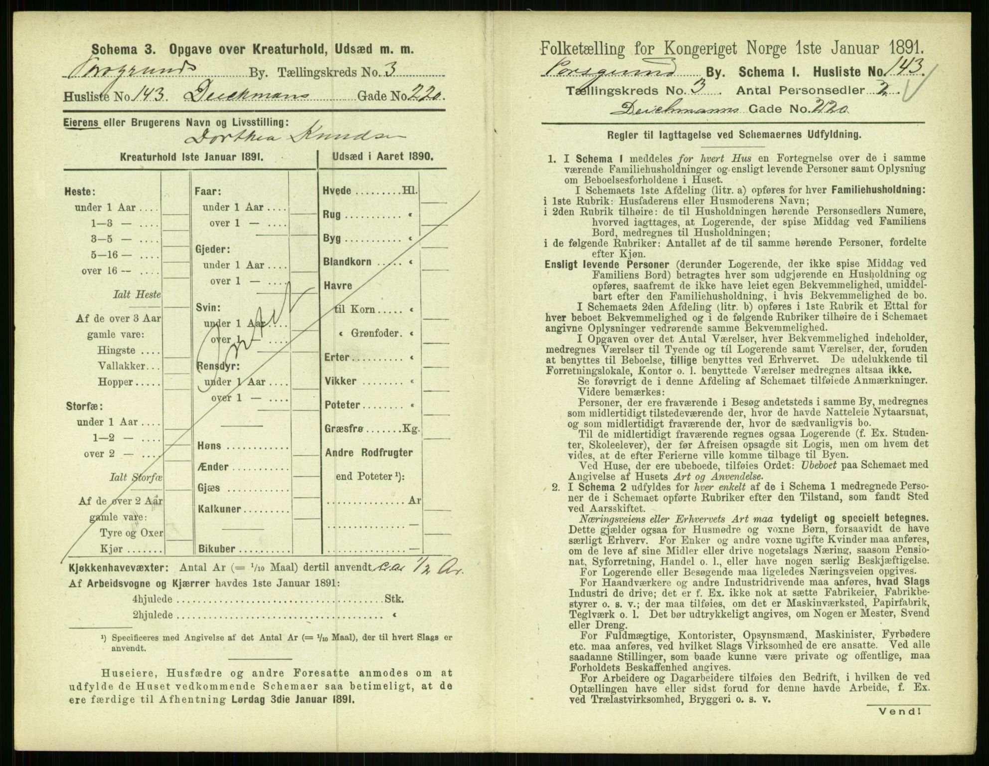 RA, 1891 census for 0805 Porsgrunn, 1891, p. 769