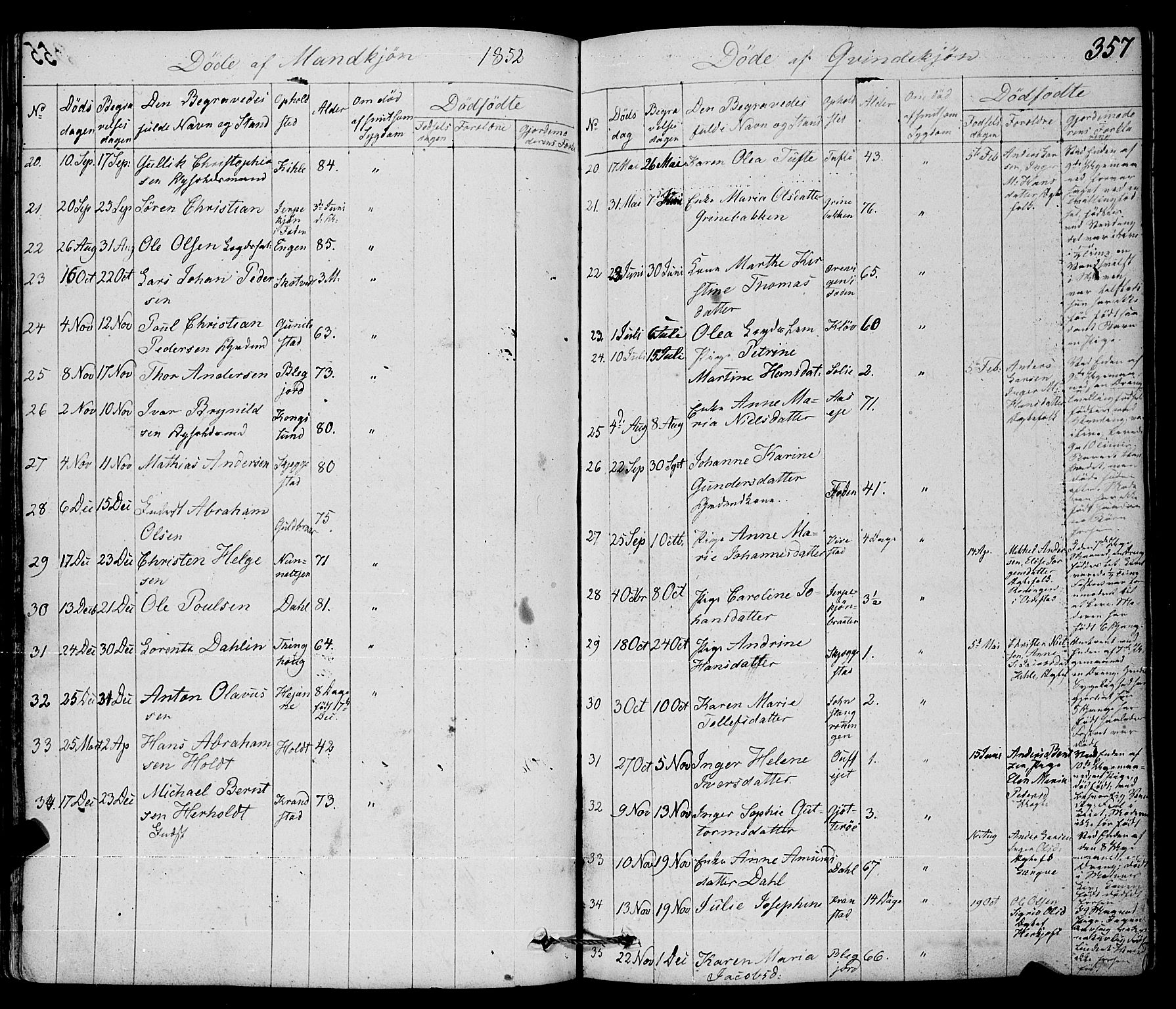 Ramnes kirkebøker, SAKO/A-314/F/Fa/L0005: Parish register (official) no. I 5, 1841-1861, p. 356-357