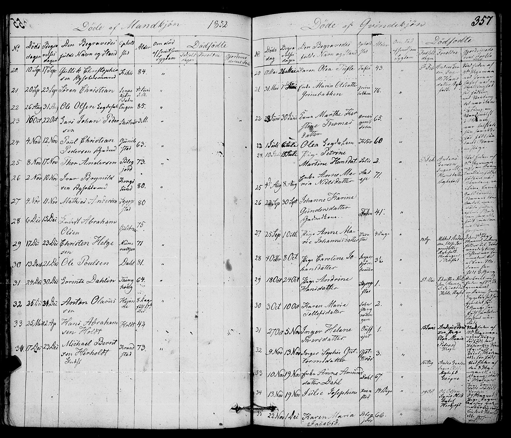 Ramnes kirkebøker, AV/SAKO-A-314/F/Fa/L0005: Parish register (official) no. I 5, 1841-1861, p. 356-357