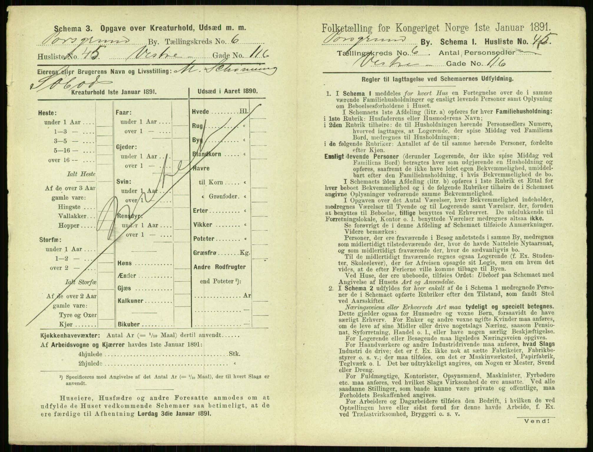 RA, 1891 census for 0805 Porsgrunn, 1891, p. 1273