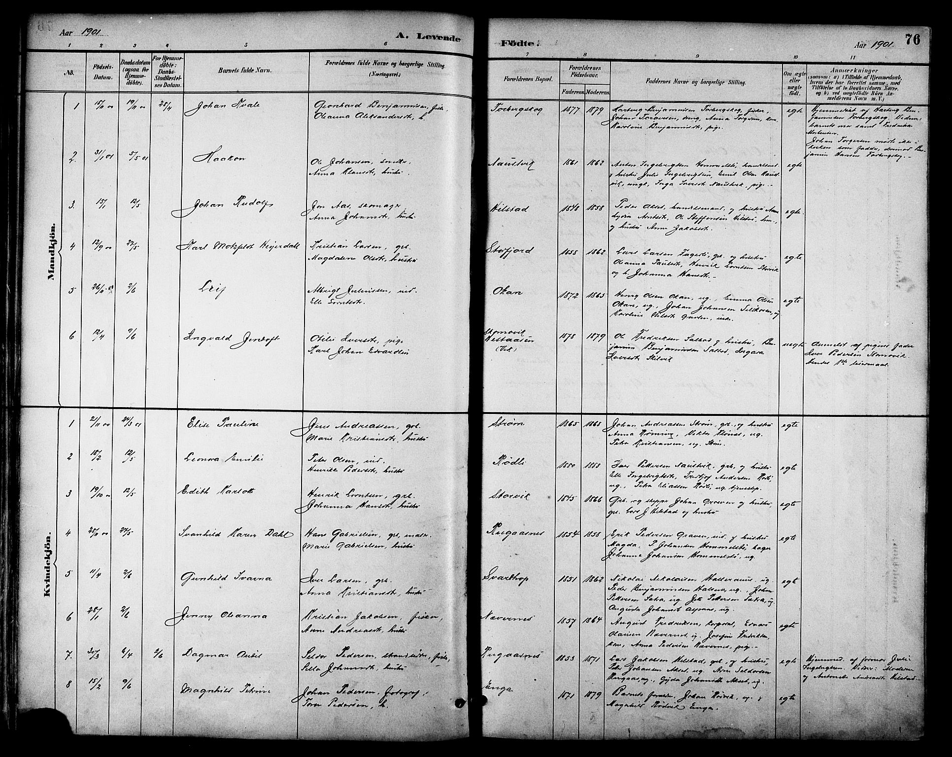 Ministerialprotokoller, klokkerbøker og fødselsregistre - Nordland, AV/SAT-A-1459/814/L0230: Parish register (copy) no. 814C03, 1884-1911, p. 76