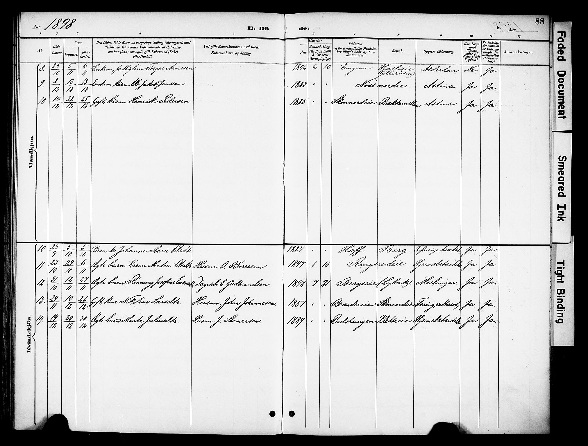 Biri prestekontor, SAH/PREST-096/H/Ha/Haa/L0008: Parish register (official) no. 8, 1894-1901, p. 88