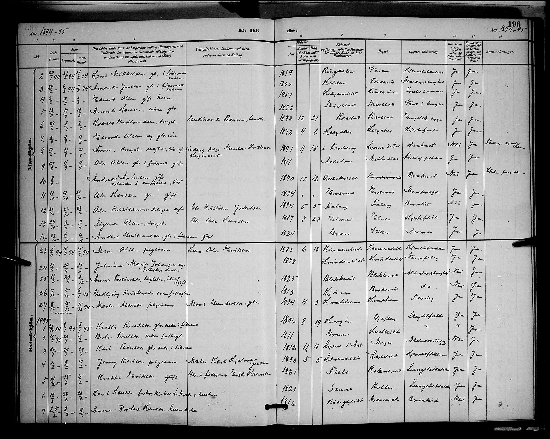 Gran prestekontor, SAH/PREST-112/H/Ha/Hab/L0005: Parish register (copy) no. 5, 1892-1900, p. 196