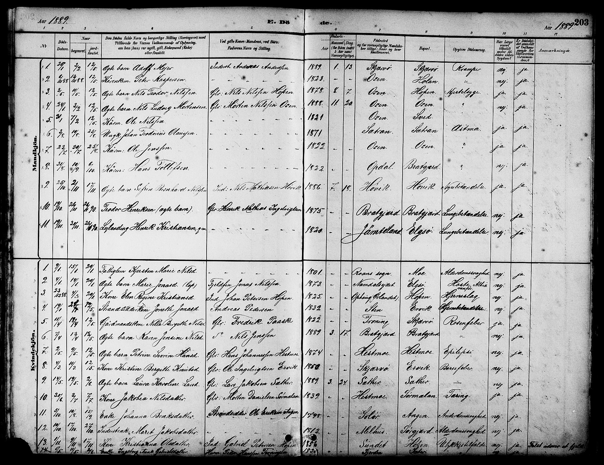 Ministerialprotokoller, klokkerbøker og fødselsregistre - Sør-Trøndelag, SAT/A-1456/658/L0726: Parish register (copy) no. 658C02, 1883-1908, p. 203