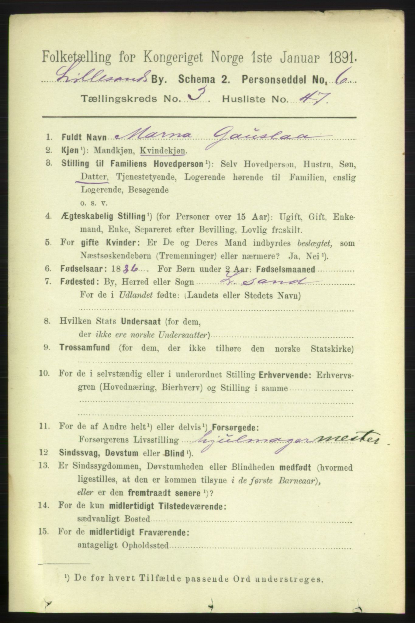 RA, 1891 census for 0905 Lillesand, 1891, p. 1057