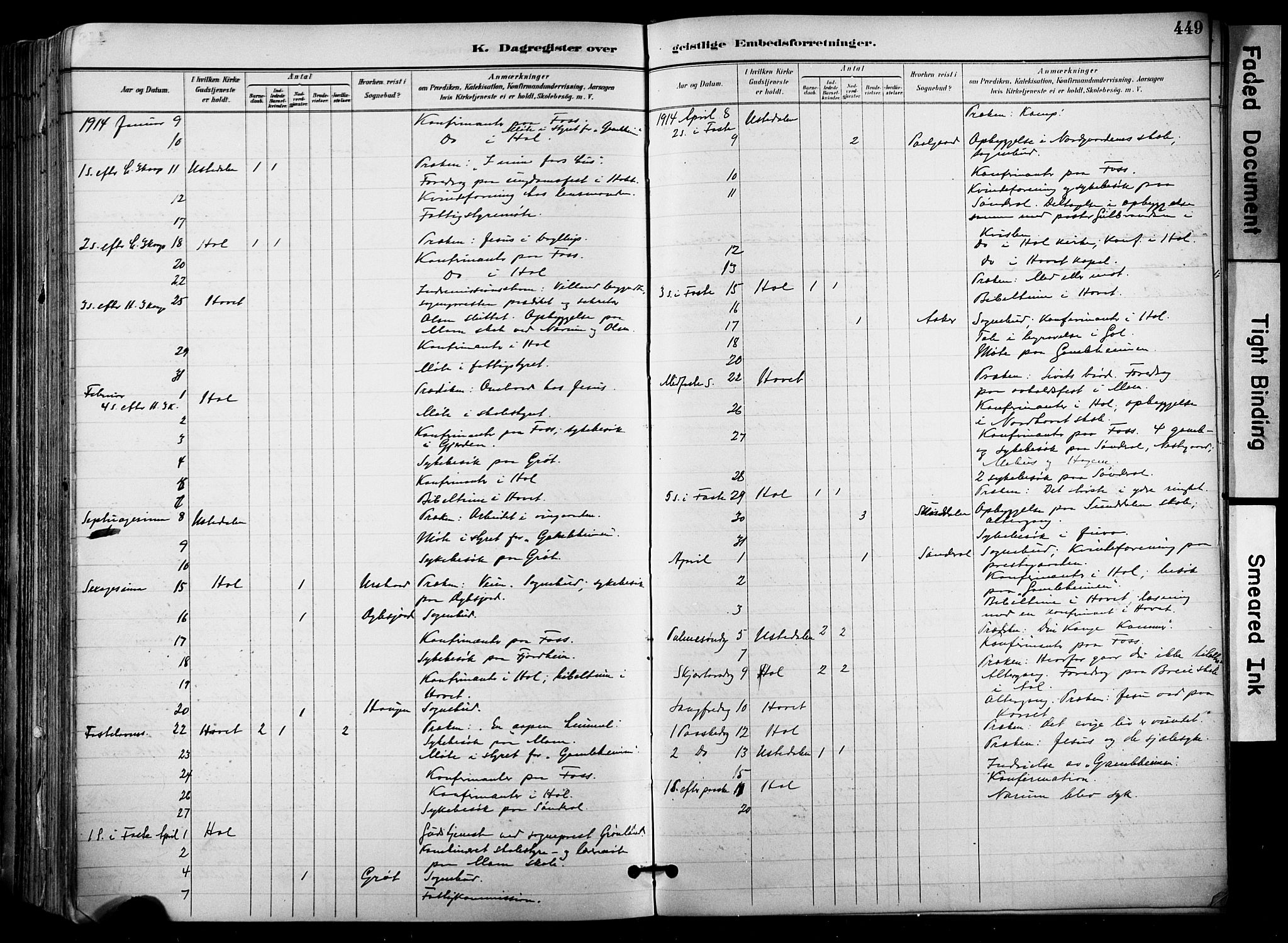 Hol kirkebøker, AV/SAKO-A-227/F/Fa/L0003: Parish register (official) no. I 3, 1887-1918, p. 449