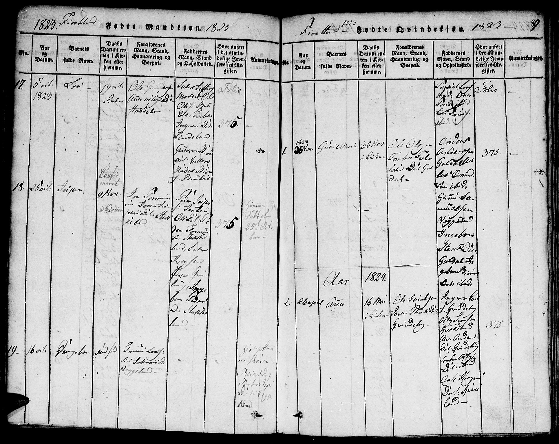 Hægebostad sokneprestkontor, AV/SAK-1111-0024/F/Fa/Faa/L0002: Parish register (official) no. A 2 /3, 1816-1825, p. 89