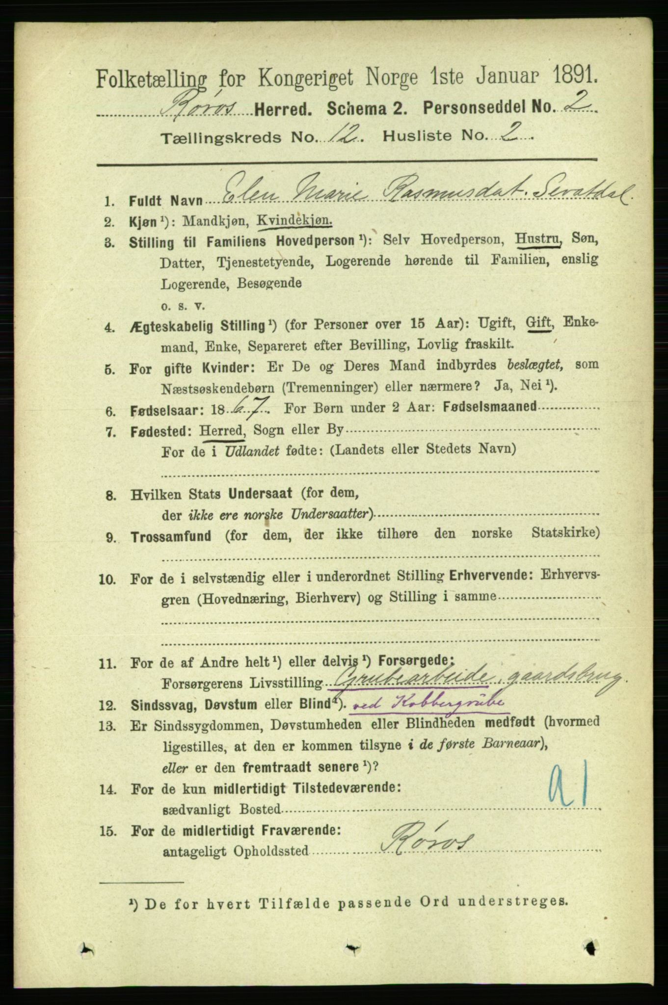 RA, 1891 census for 1640 Røros, 1891, p. 2377