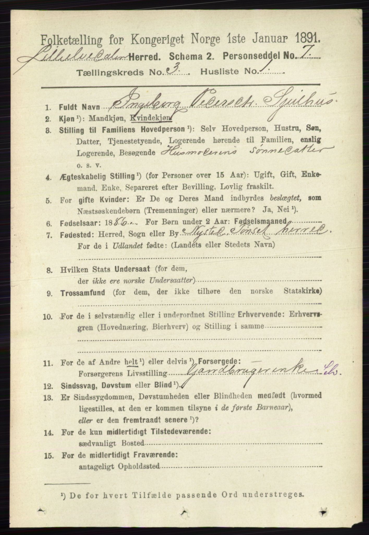 RA, 1891 census for 0438 Lille Elvedalen, 1891, p. 1035