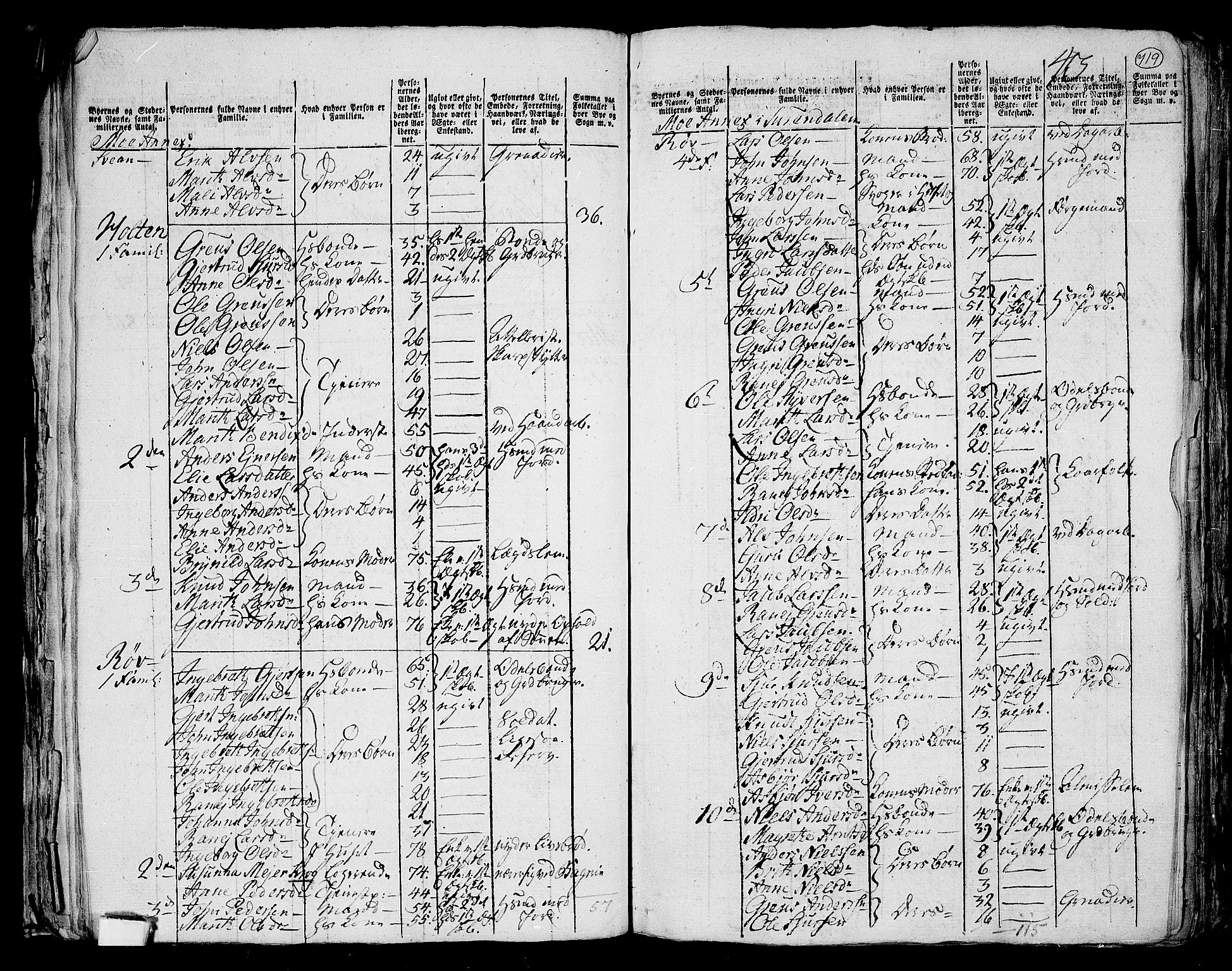 RA, 1801 census for 1566P Surnadal, 1801, p. 718b-719a