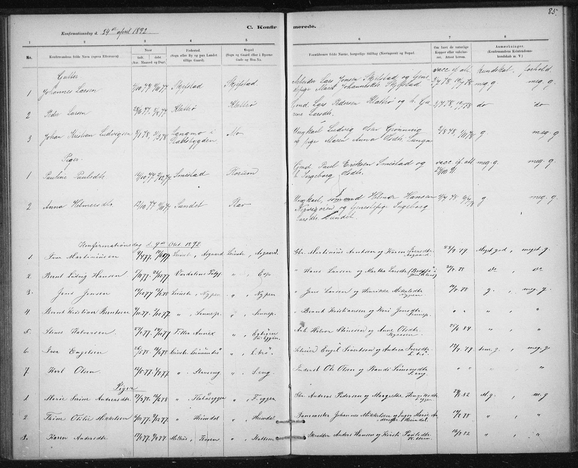 Ministerialprotokoller, klokkerbøker og fødselsregistre - Sør-Trøndelag, SAT/A-1456/613/L0392: Parish register (official) no. 613A01, 1887-1906, p. 85