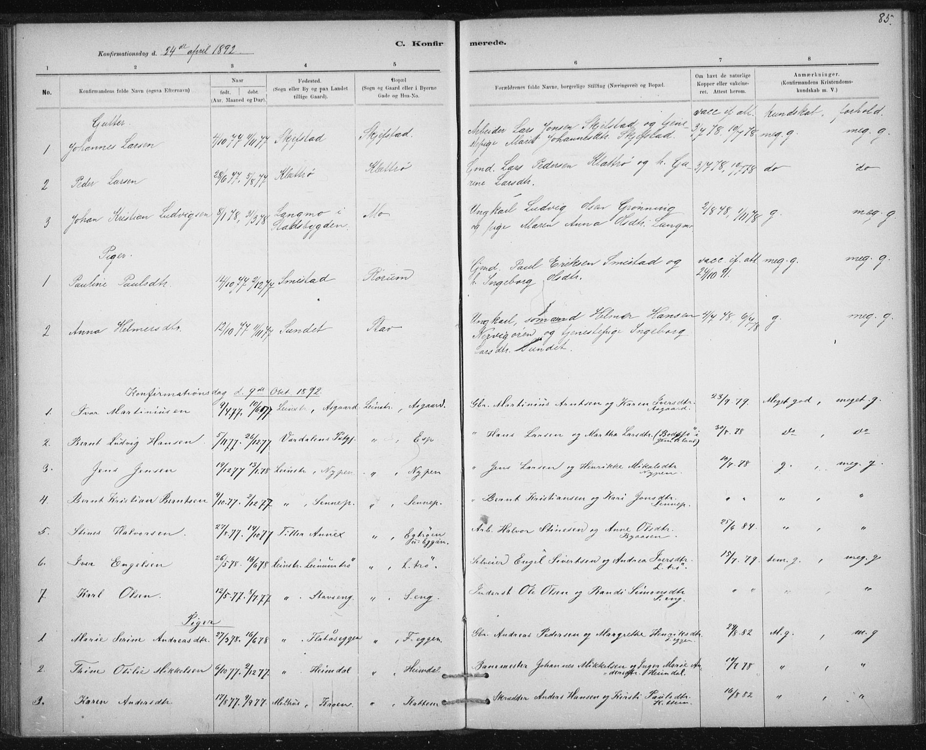 Ministerialprotokoller, klokkerbøker og fødselsregistre - Sør-Trøndelag, AV/SAT-A-1456/613/L0392: Parish register (official) no. 613A01, 1887-1906, p. 85