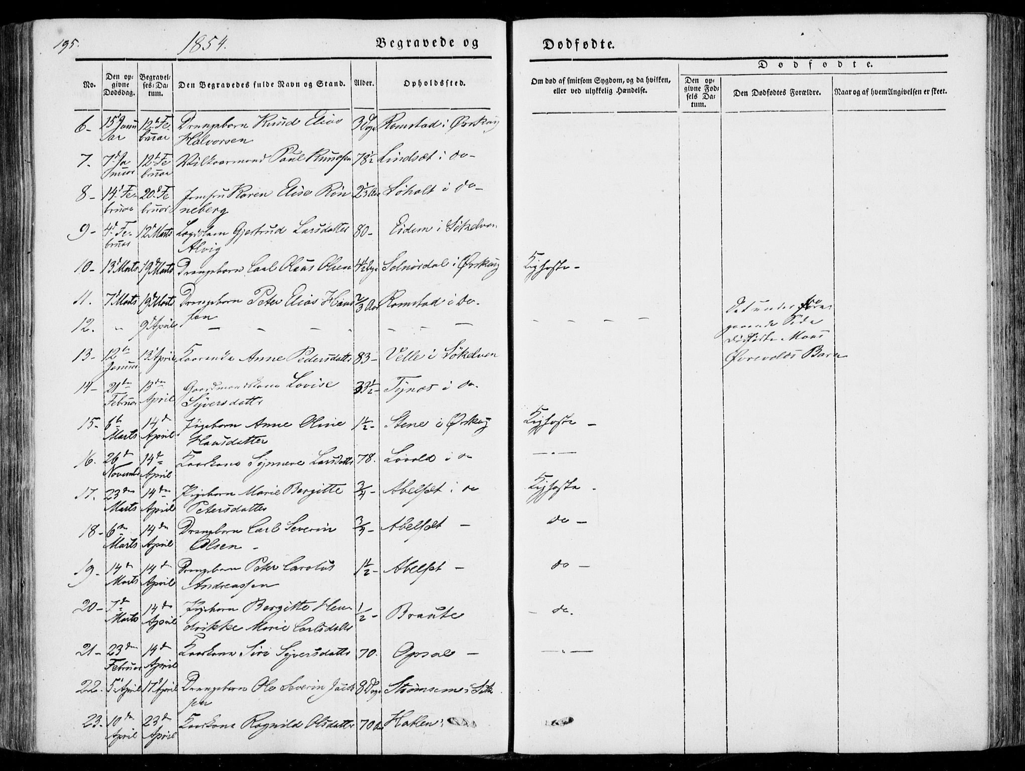 Ministerialprotokoller, klokkerbøker og fødselsregistre - Møre og Romsdal, AV/SAT-A-1454/522/L0313: Parish register (official) no. 522A08, 1852-1862, p. 195