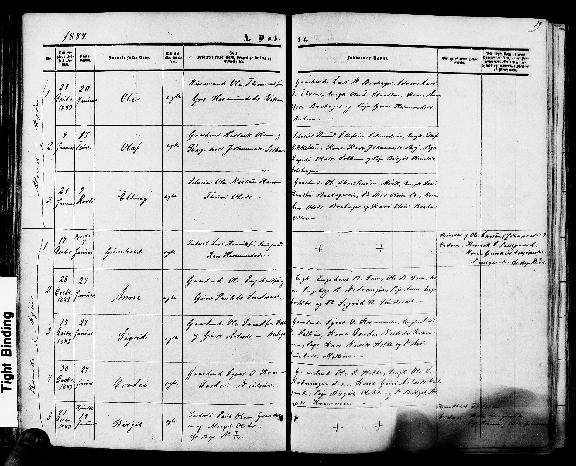 Hol kirkebøker, AV/SAKO-A-227/F/Fa/L0002: Parish register (official) no. I 2, 1870-1886, p. 89
