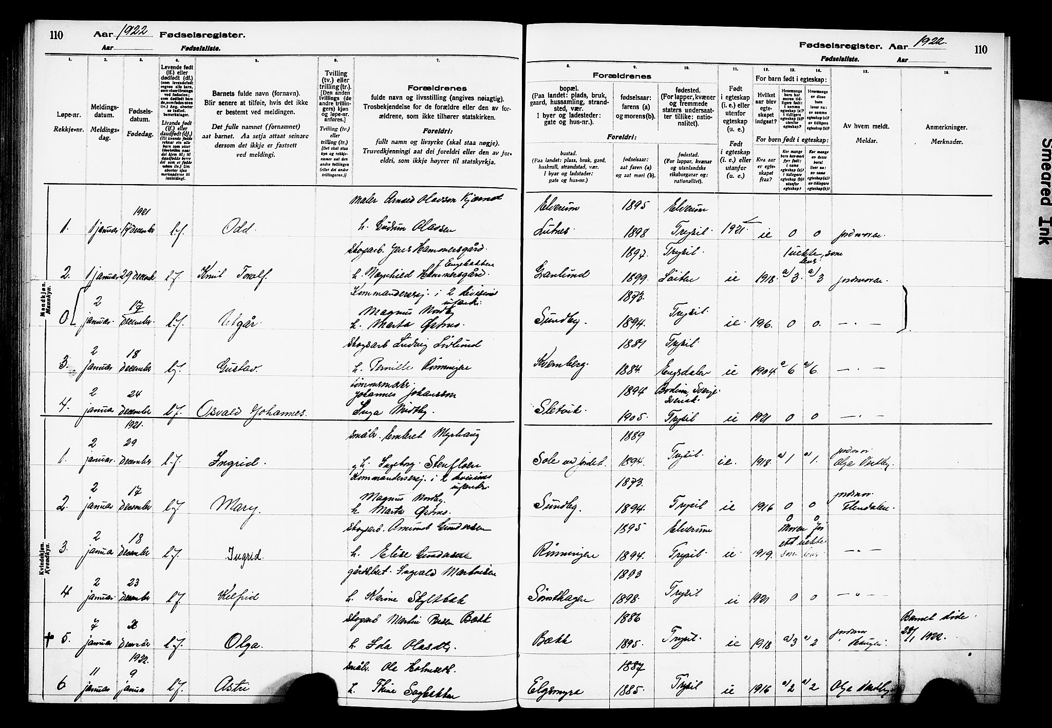 Trysil prestekontor, AV/SAH-PREST-046/I/Id/Ida/L0001: Birth register no. I 1, 1916-1927, p. 110