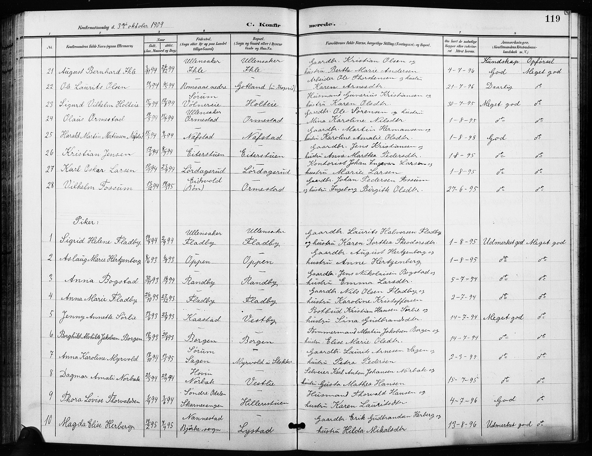Ullensaker prestekontor Kirkebøker, SAO/A-10236a/G/Ga/L0002: Parish register (copy) no. I 2, 1901-1913, p. 119