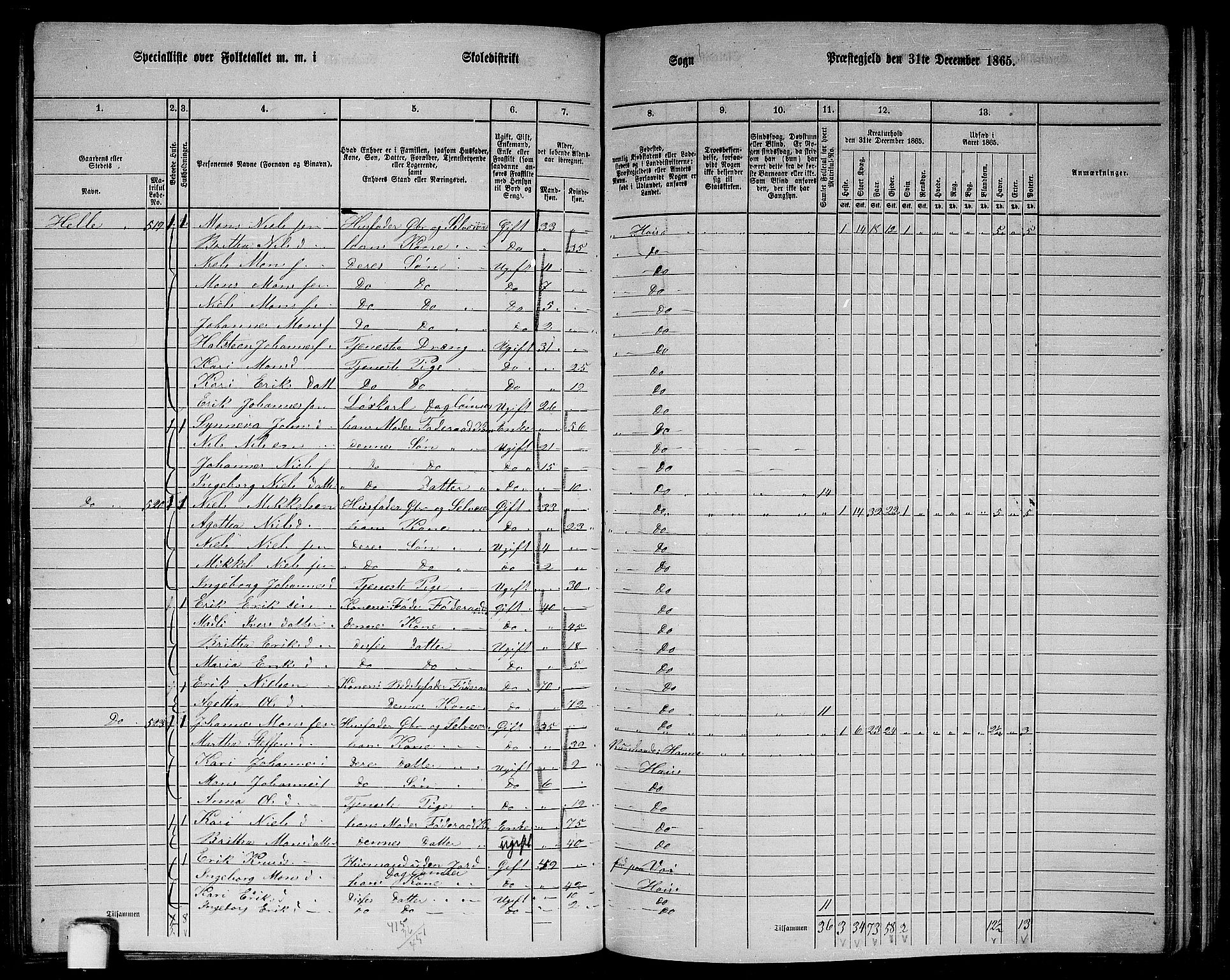 RA, 1865 census for Haus, 1865, p. 205