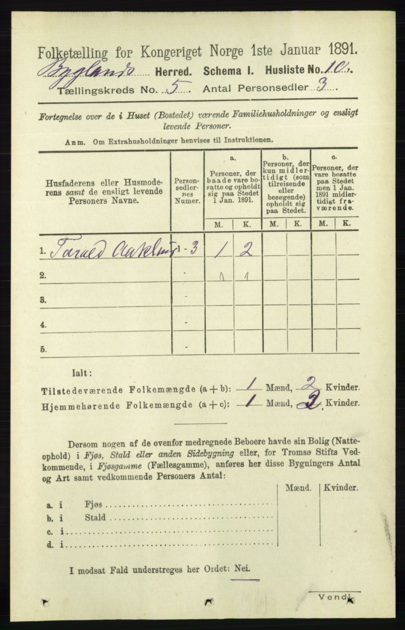 RA, 1891 census for 0938 Bygland, 1891, p. 1007