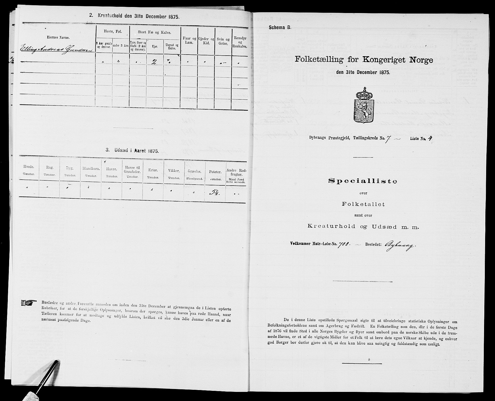 SAK, 1875 census for 0915P Dypvåg, 1875, p. 821