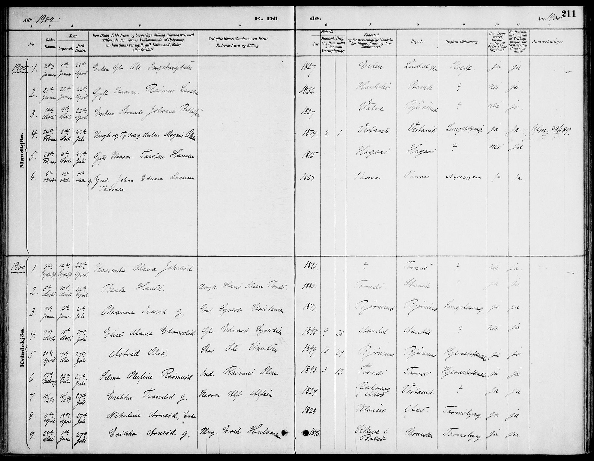 Ministerialprotokoller, klokkerbøker og fødselsregistre - Møre og Romsdal, AV/SAT-A-1454/565/L0750: Parish register (official) no. 565A04, 1887-1905, p. 211