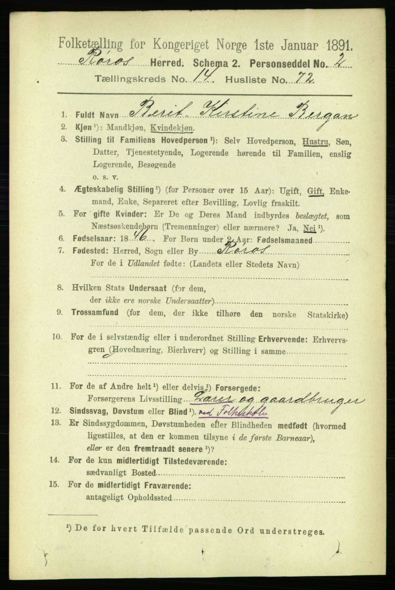 RA, 1891 census for 1640 Røros, 1891, p. 3253