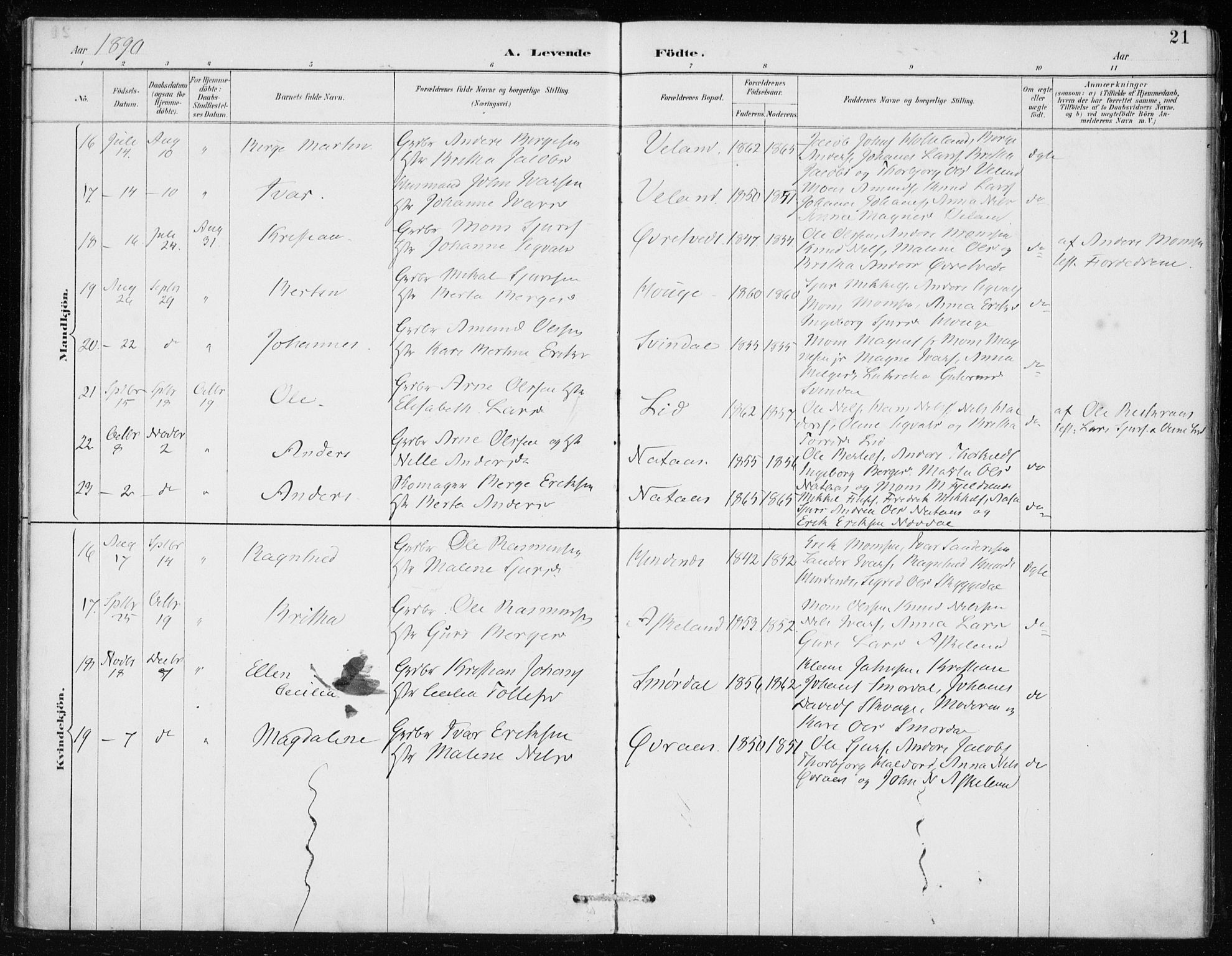 Lindås Sokneprestembete, AV/SAB-A-76701/H/Haa/Haaf/L0001: Parish register (official) no. F  1, 1886-1897, p. 21