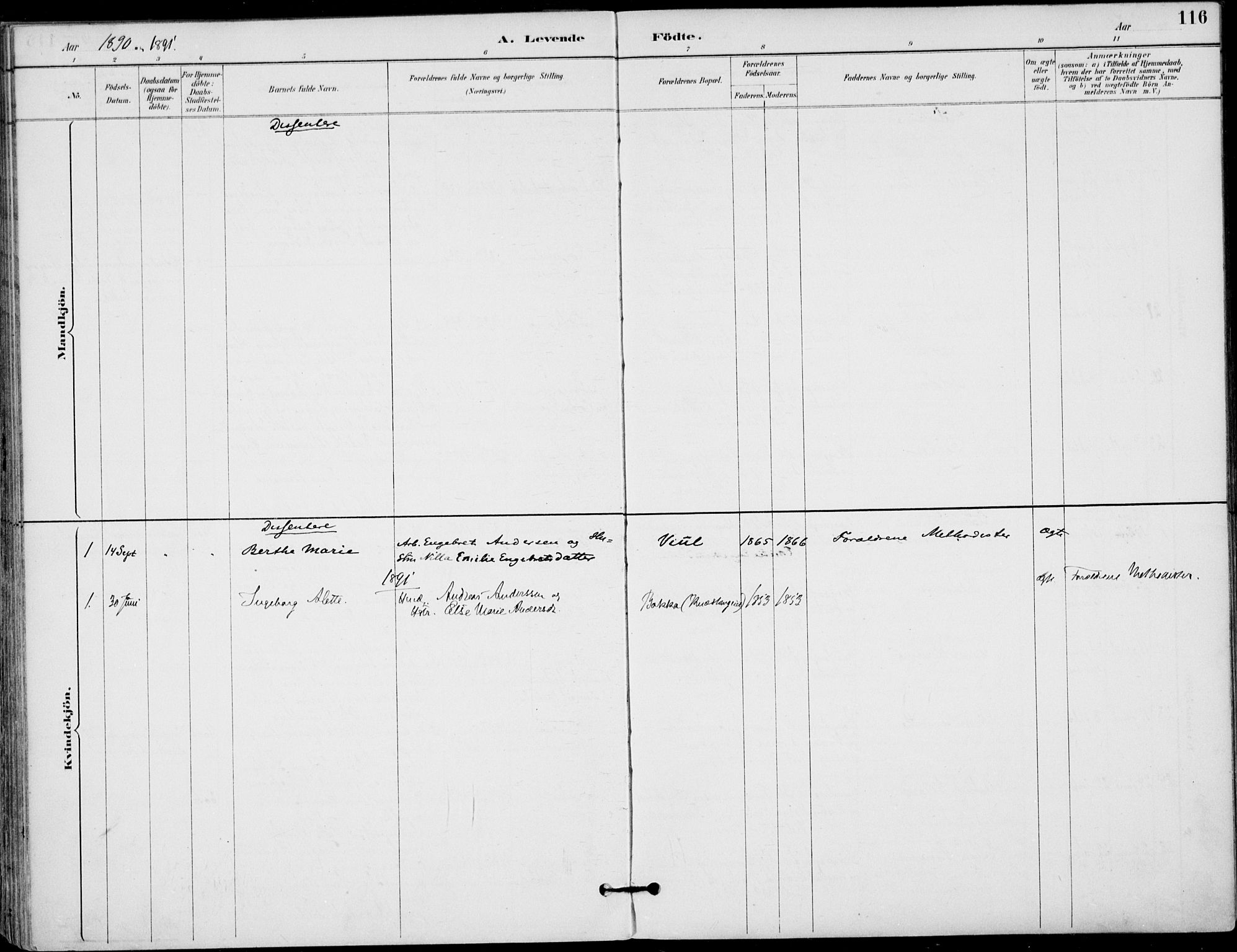 Haug kirkebøker, AV/SAKO-A-604/F/Fa/L0001: Parish register (official) no. 1, 1885-1917, p. 116