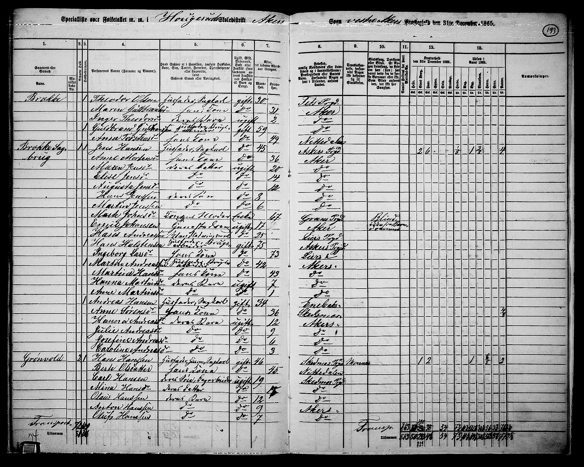 RA, 1865 census for Vestre Aker, 1865, p. 174