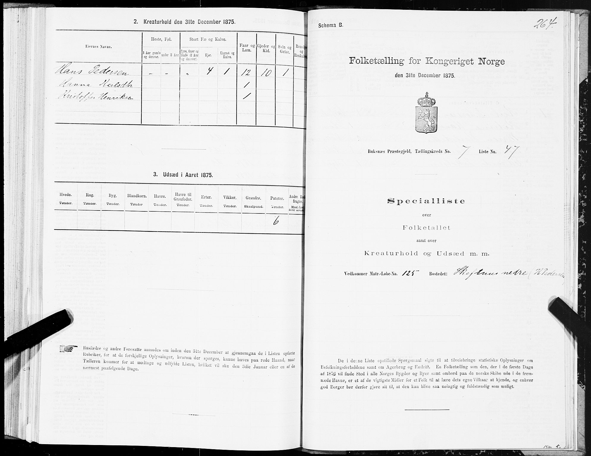 SAT, 1875 census for 1860P Buksnes, 1875, p. 3264