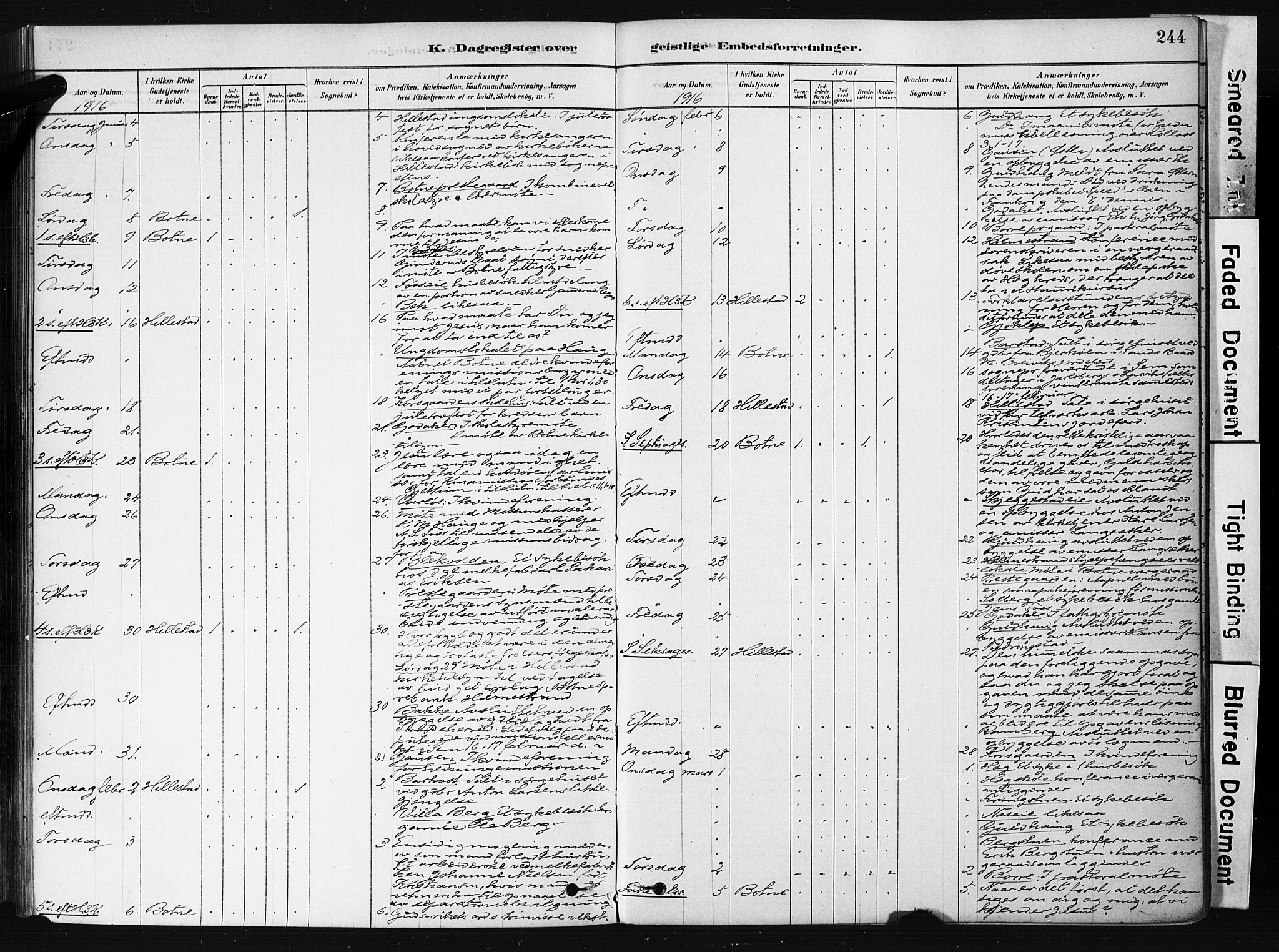 Botne kirkebøker, AV/SAKO-A-340/F/Fb/L0001: Parish register (official) no. II 1, 1878-1902, p. 244