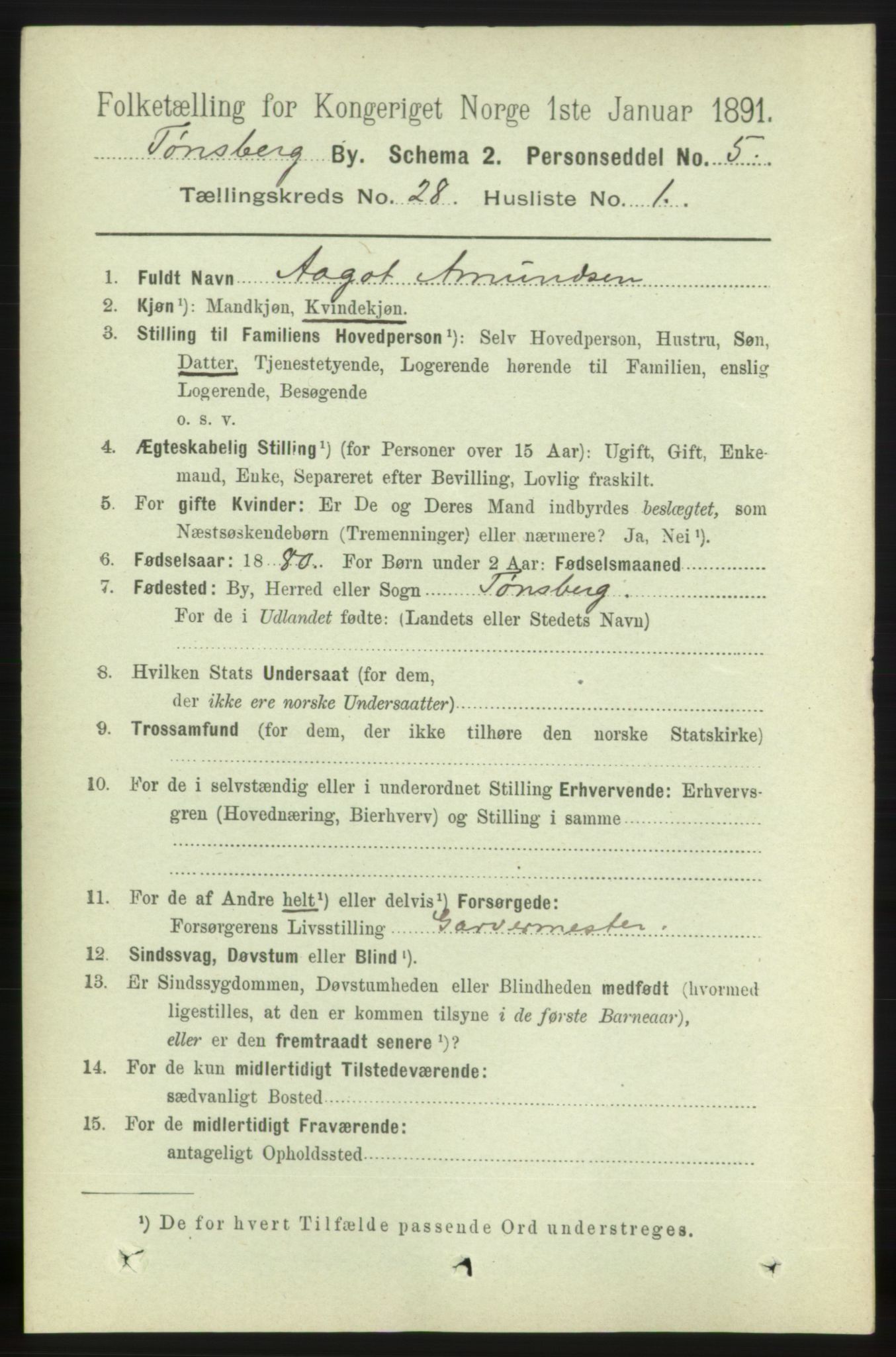 RA, 1891 census for 0705 Tønsberg, 1891, p. 6918