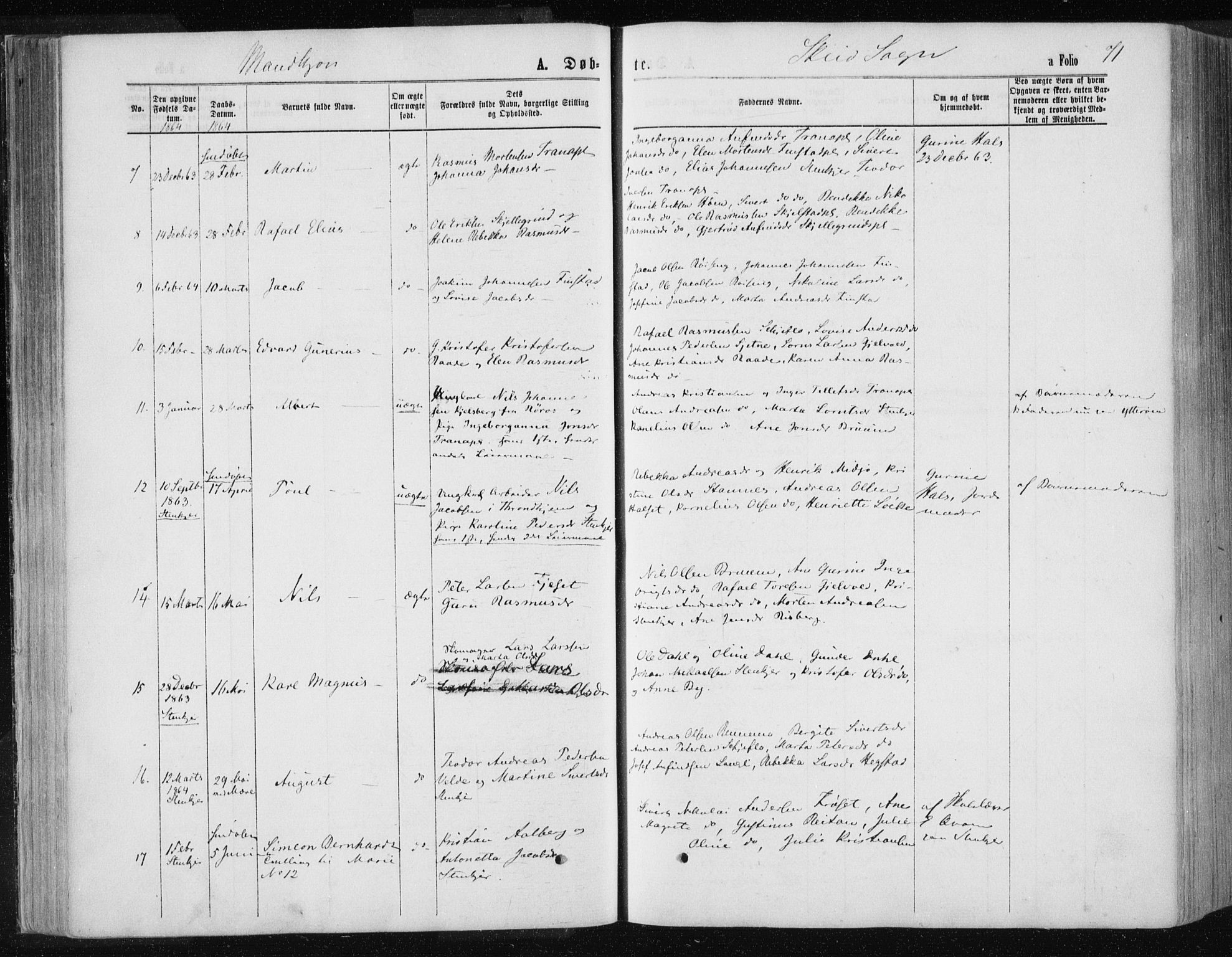 Ministerialprotokoller, klokkerbøker og fødselsregistre - Nord-Trøndelag, AV/SAT-A-1458/735/L0345: Parish register (official) no. 735A08 /2, 1863-1872, p. 71