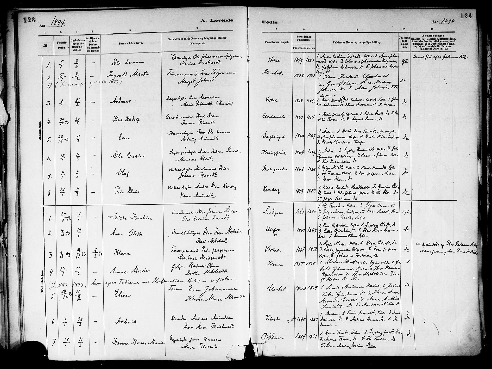 Holla kirkebøker, SAKO/A-272/F/Fa/L0008: Parish register (official) no. 8, 1882-1897, p. 123