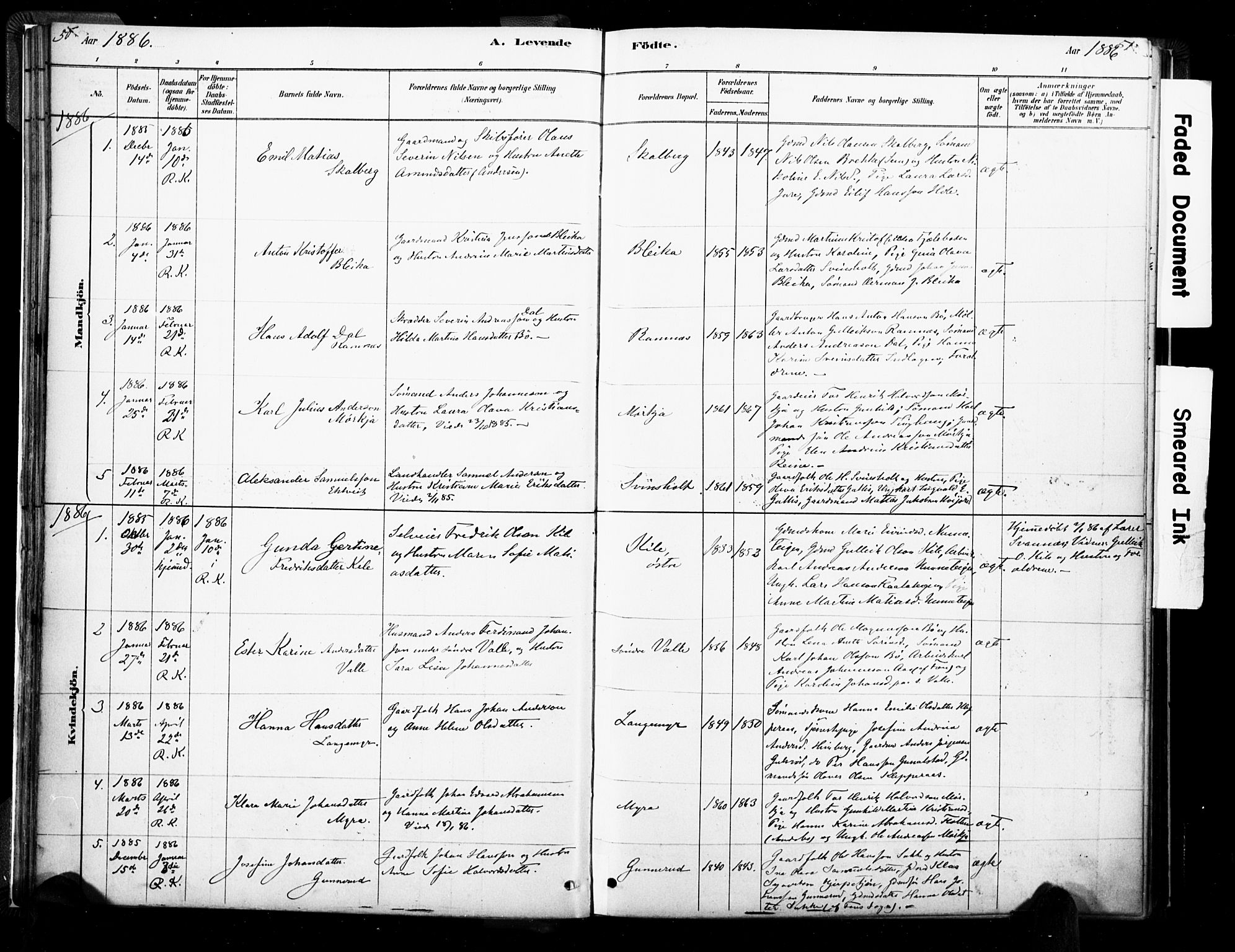 Ramnes kirkebøker, SAKO/A-314/F/Fa/L0007: Parish register (official) no. I 7, 1878-1895, p. 50-51