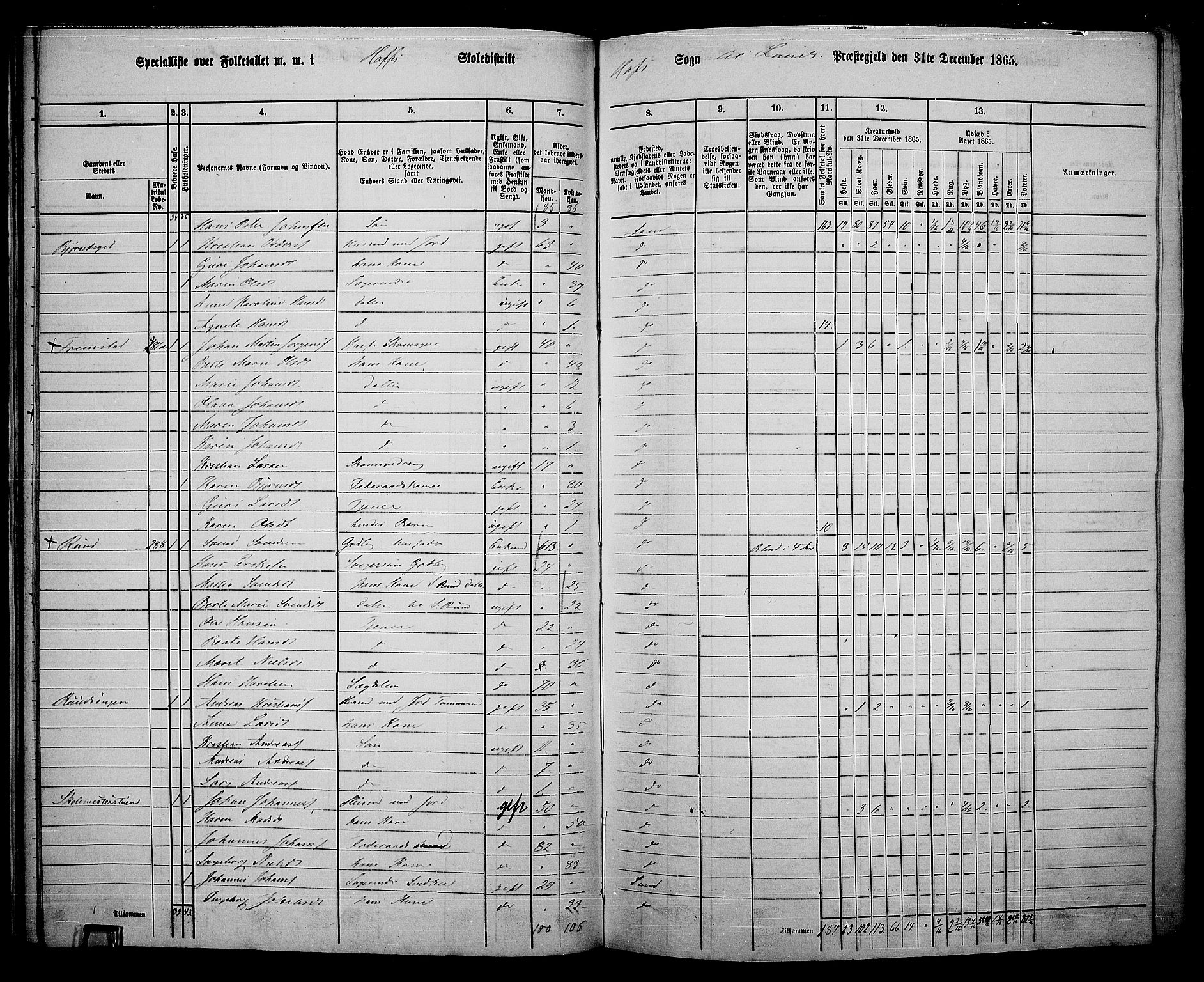 RA, 1865 census for Land, 1865, p. 322