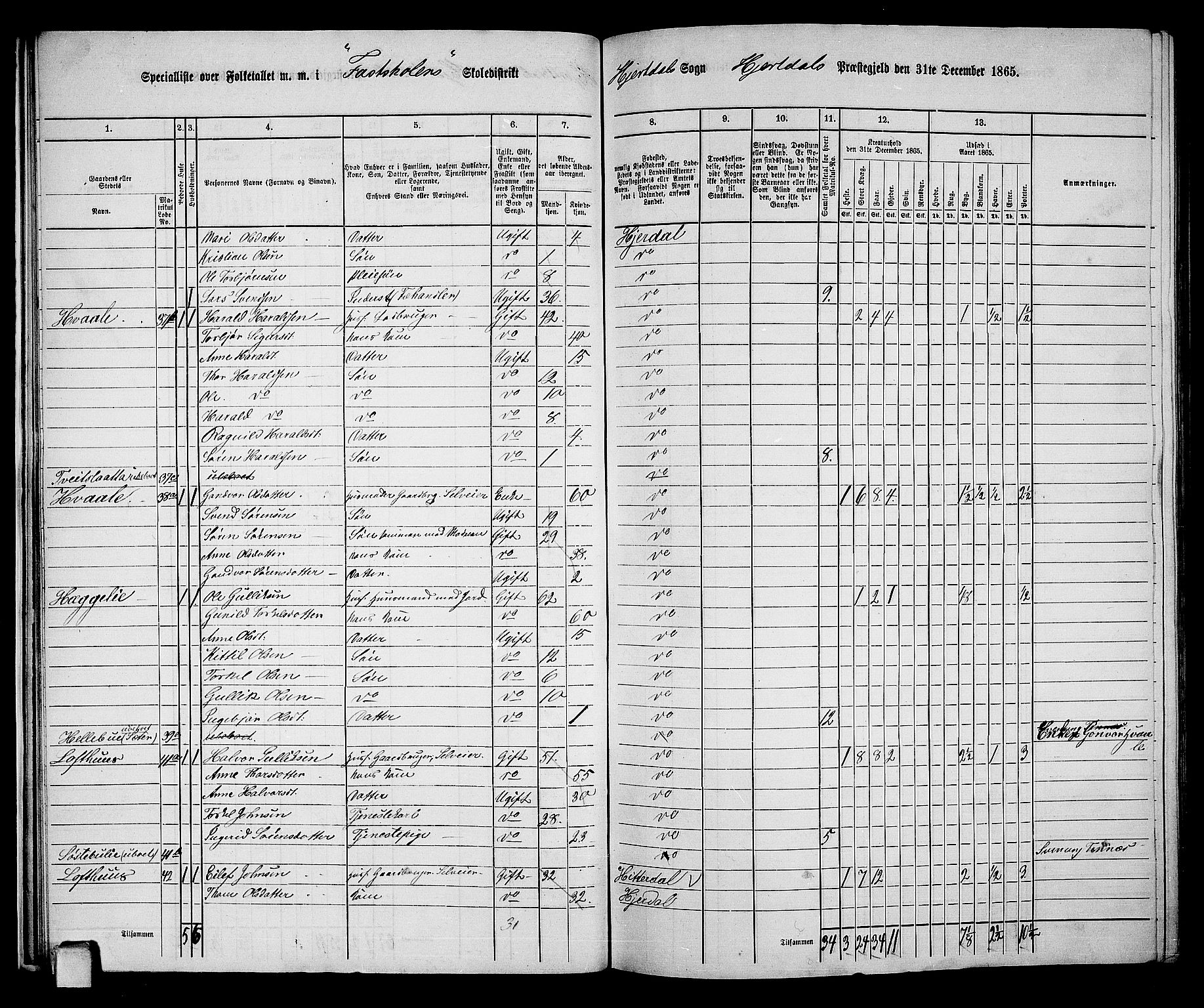 RA, 1865 census for Hjartdal, 1865, p. 22