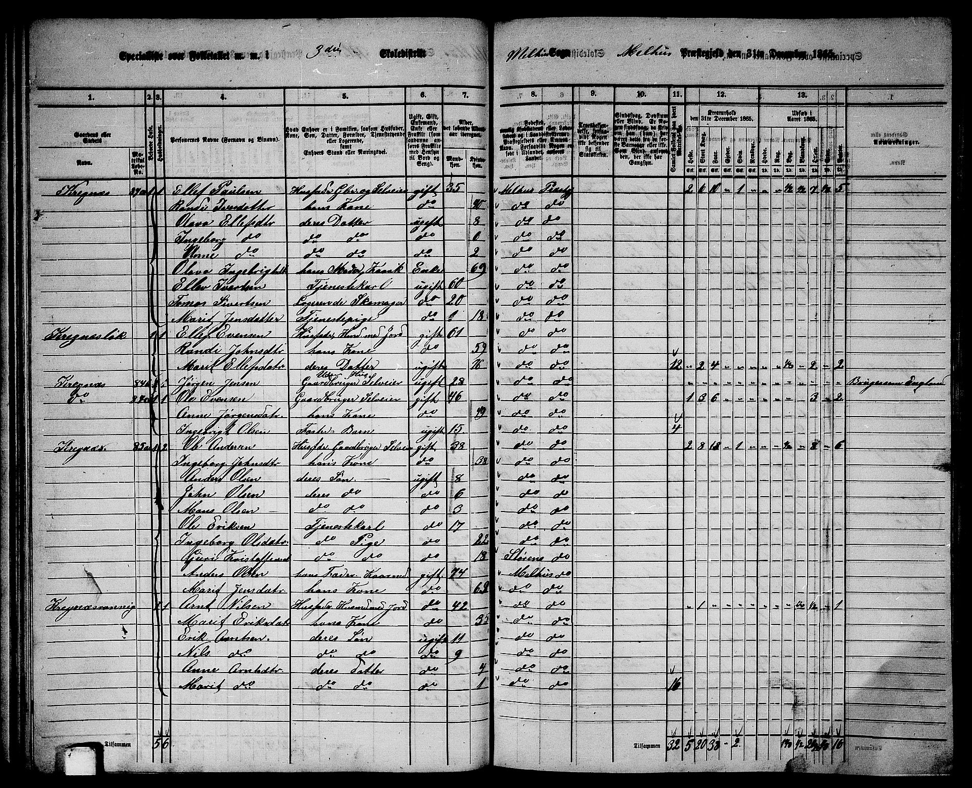 RA, 1865 census for Melhus, 1865, p. 63