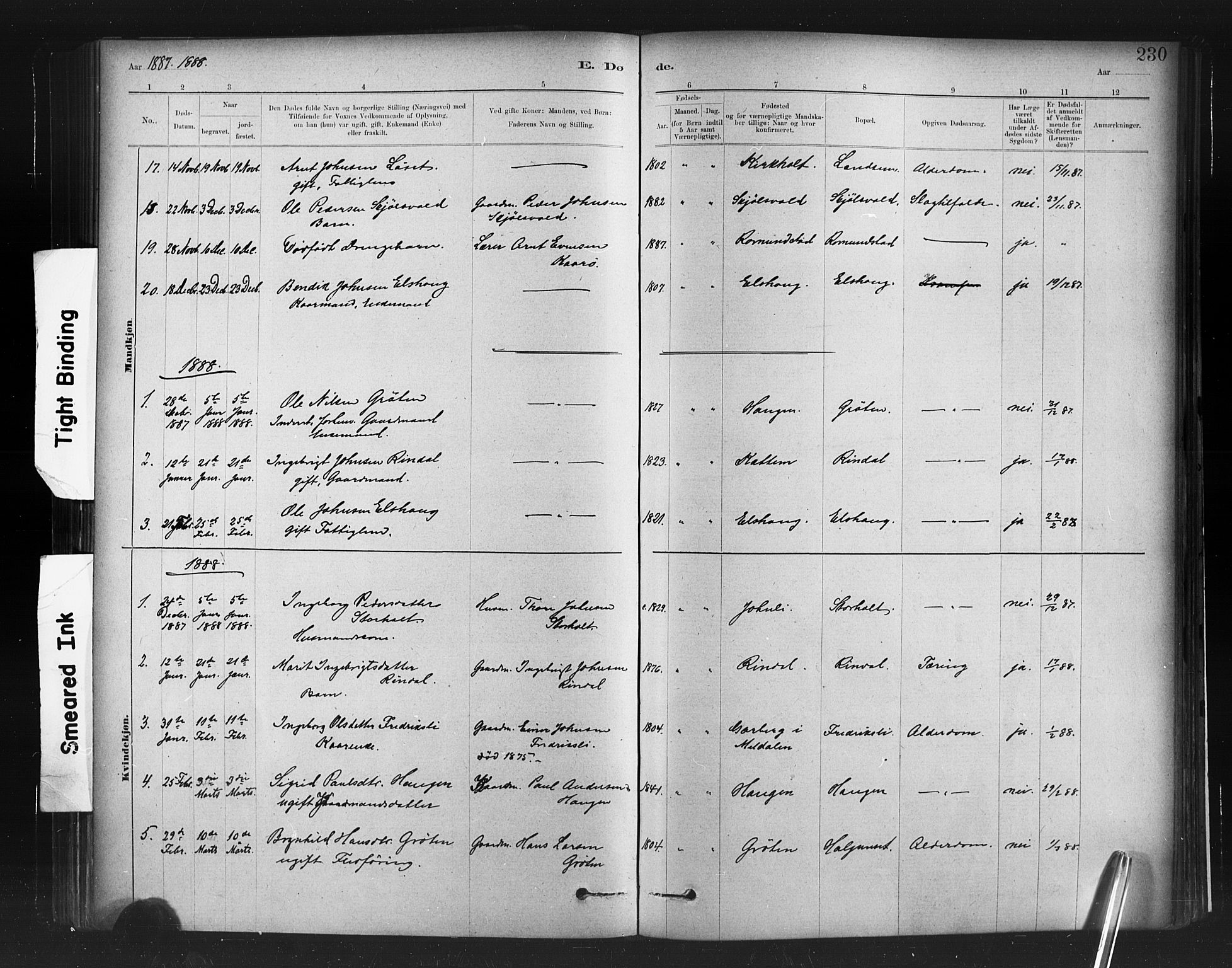 Ministerialprotokoller, klokkerbøker og fødselsregistre - Møre og Romsdal, AV/SAT-A-1454/598/L1069: Parish register (official) no. 598A03, 1882-1895, p. 230