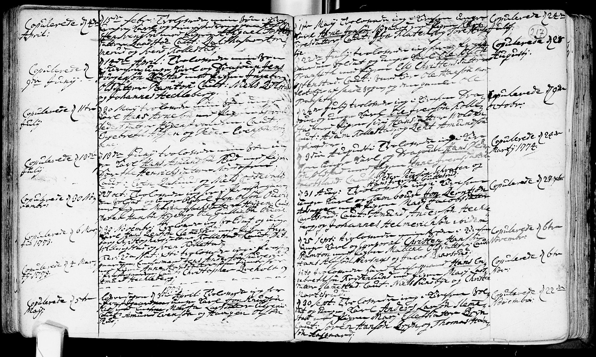 Røyken kirkebøker, SAKO/A-241/F/Fa/L0002: Parish register (official) no. 2, 1731-1782, p. 217