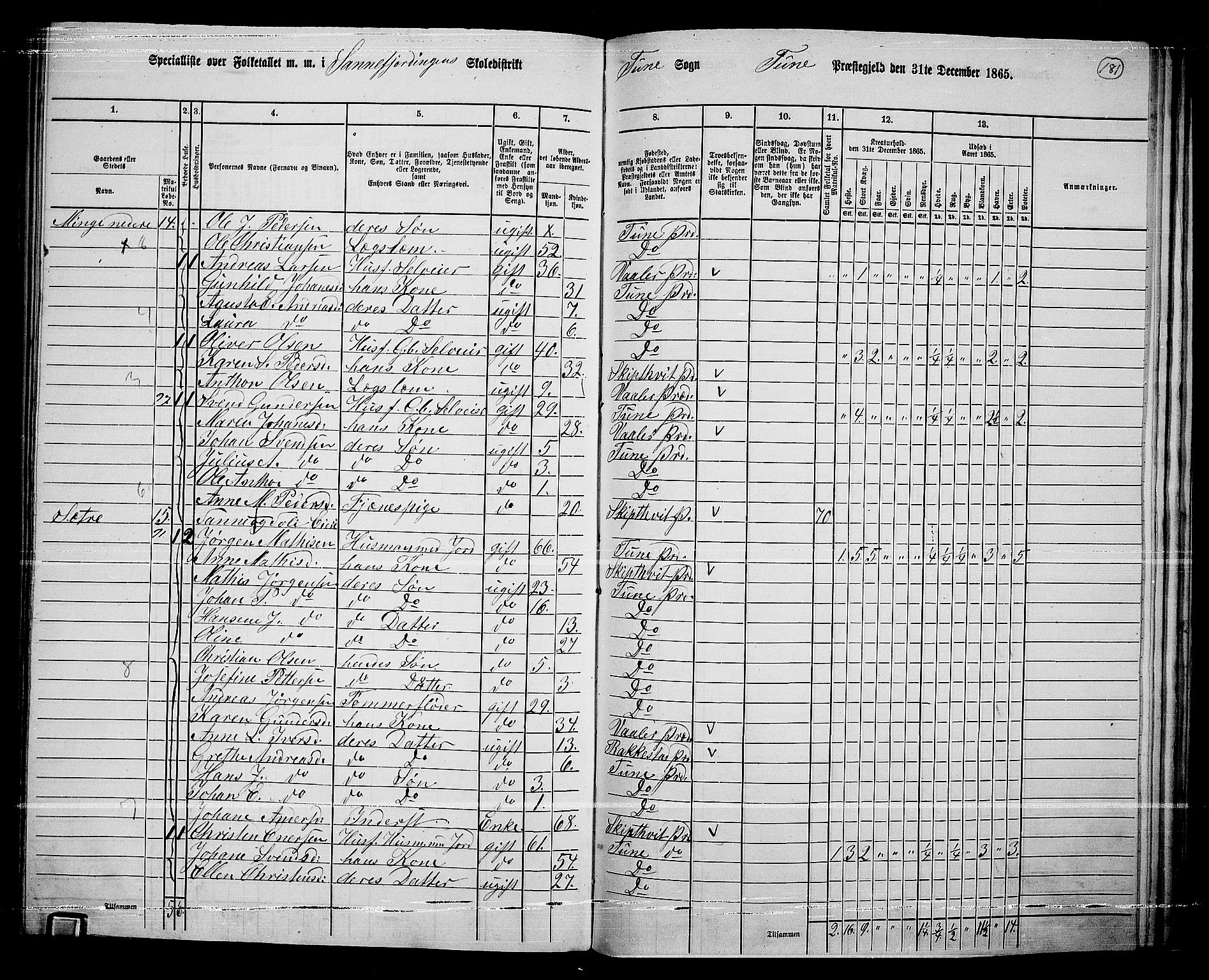 RA, 1865 census for Tune, 1865, p. 255